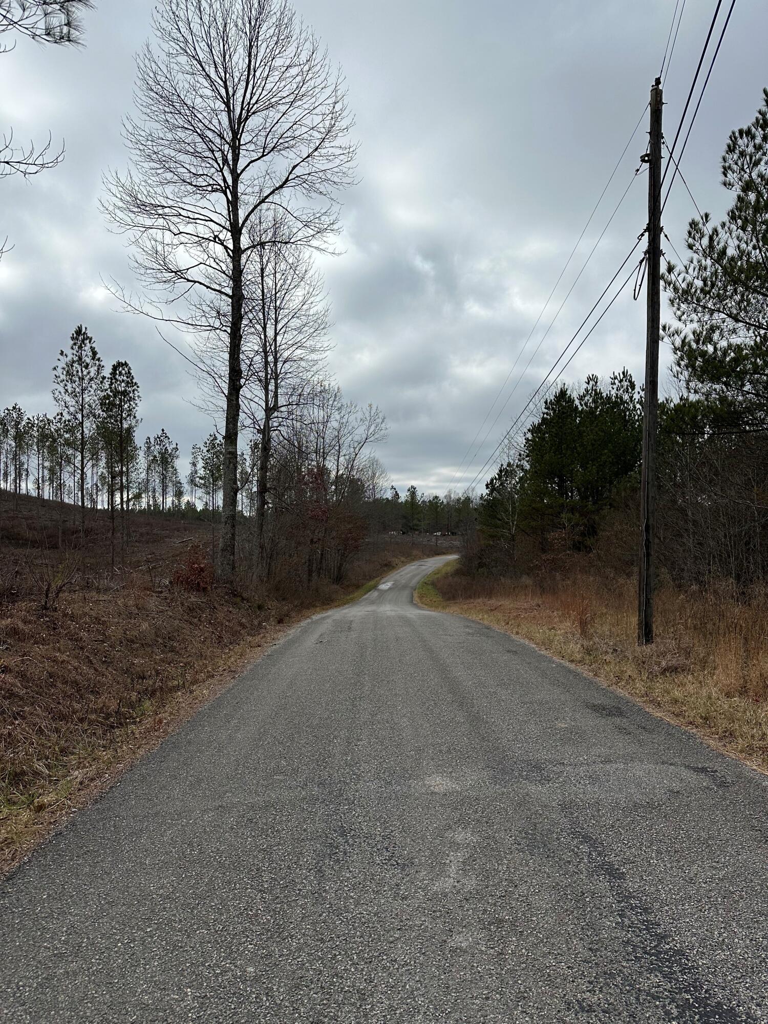 Tract 27 Thomas Springs Road #TRACT 27, Crossville, Tennessee image 8