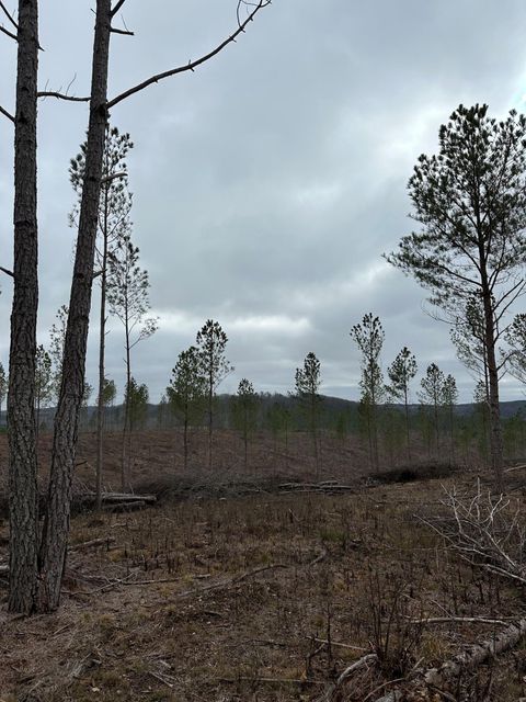 Photo of Tract 27 Thomas Springs Road, Crossville, TN 38572 (MLS # 1504995)