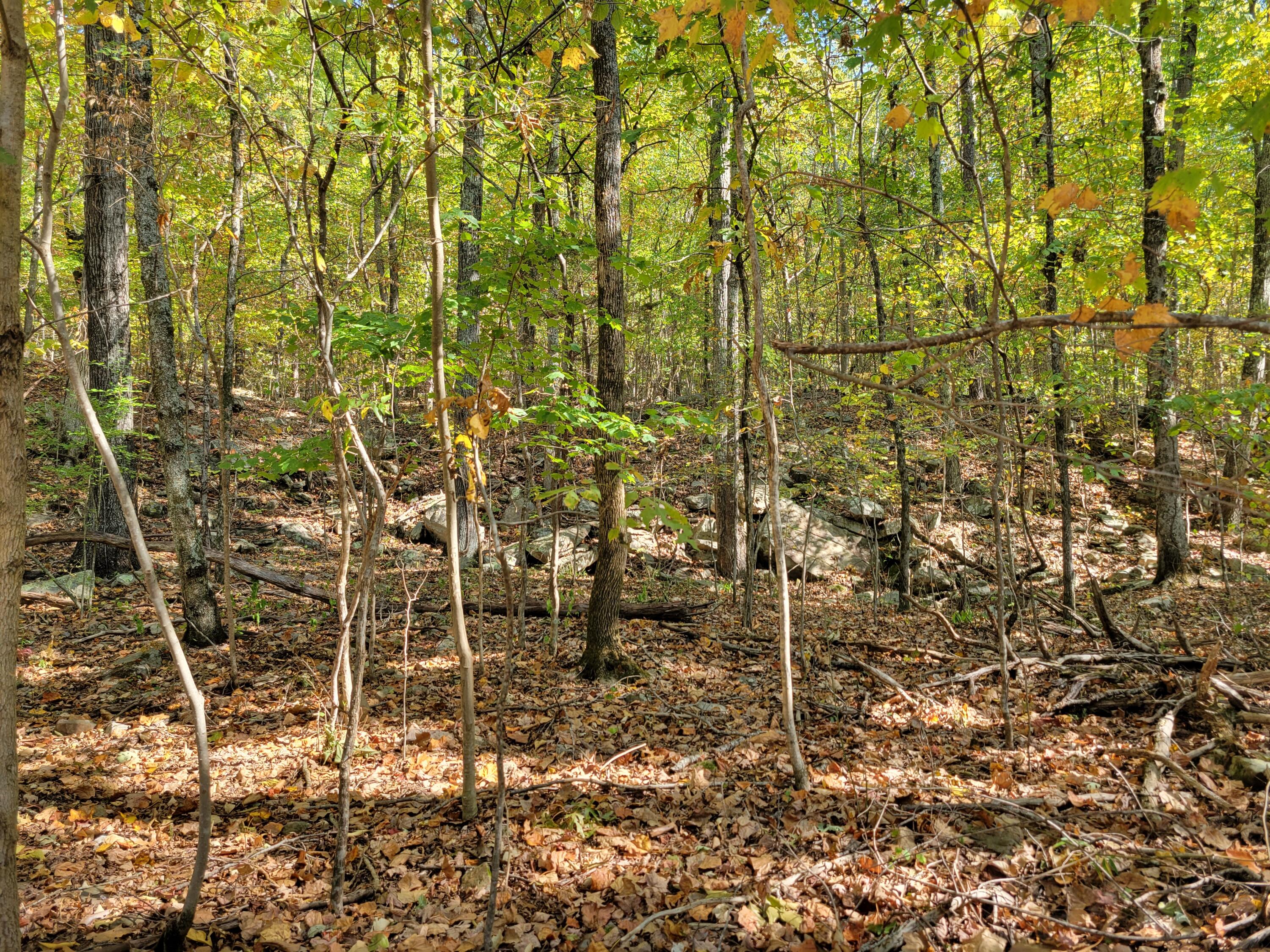 12 Raulstontown Road #12, South Pittsburg, Tennessee image 3