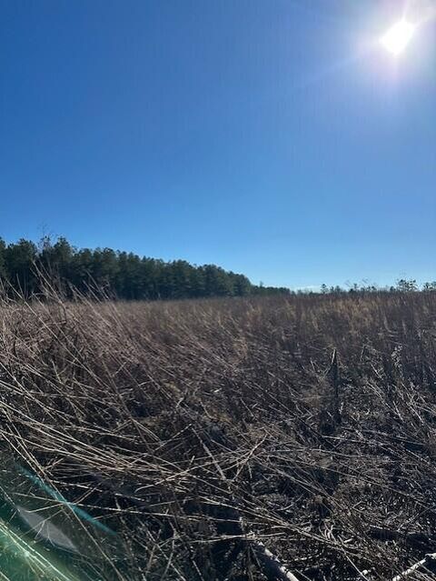 Photo of Tract 3 50th Avenue, Gruetli Laager, TN 37339 (MLS # 1527001)