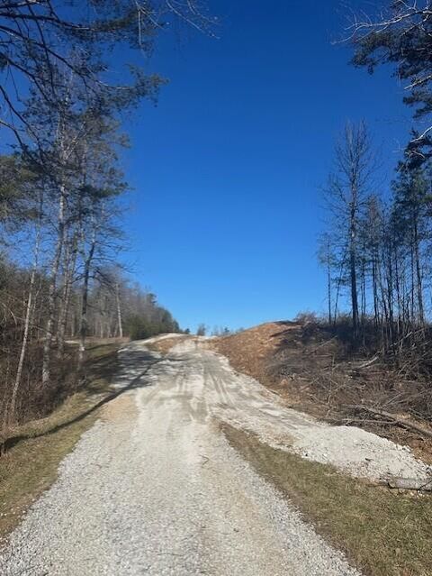Tiny photo for Tract 3 50th Avenue, Gruetli Laager, TN 37339 (MLS # 1527001)