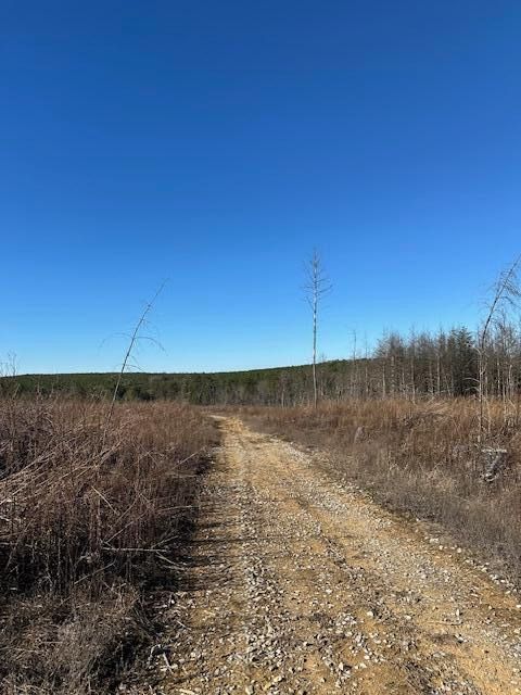 Tiny photo for Tract 3 50th Avenue, Gruetli Laager, TN 37339 (MLS # 1527001)