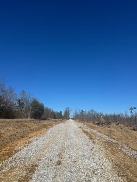 Tiny photo for Tract 3 50th Avenue, Gruetli Laager, TN 37339 (MLS # 1527001)