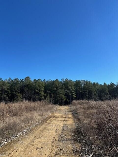 Tiny photo for Tract 3 50th Avenue, Gruetli Laager, TN 37339 (MLS # 1527001)
