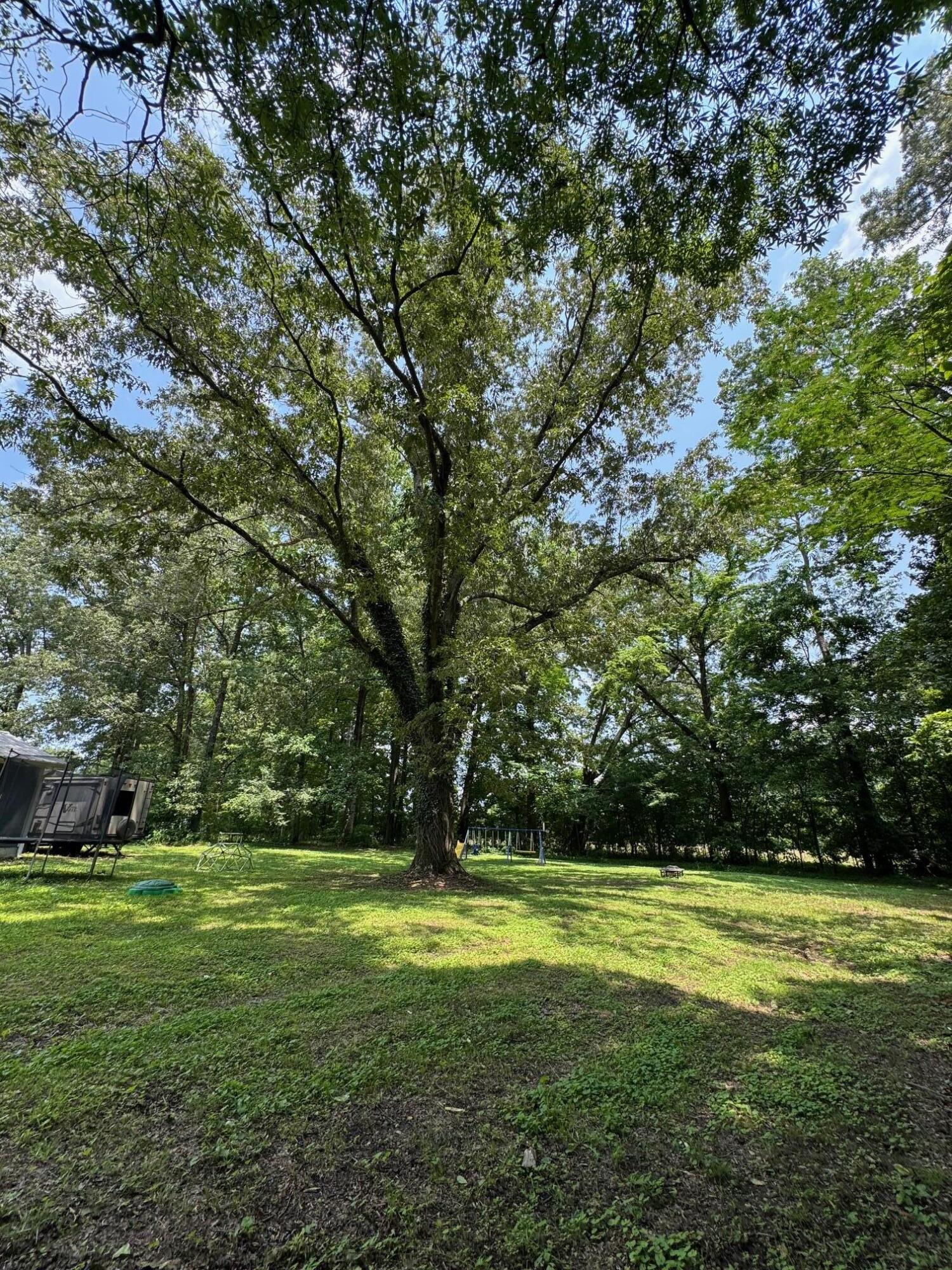 2689 Brownwood Drive, Cleveland, Tennessee image 29