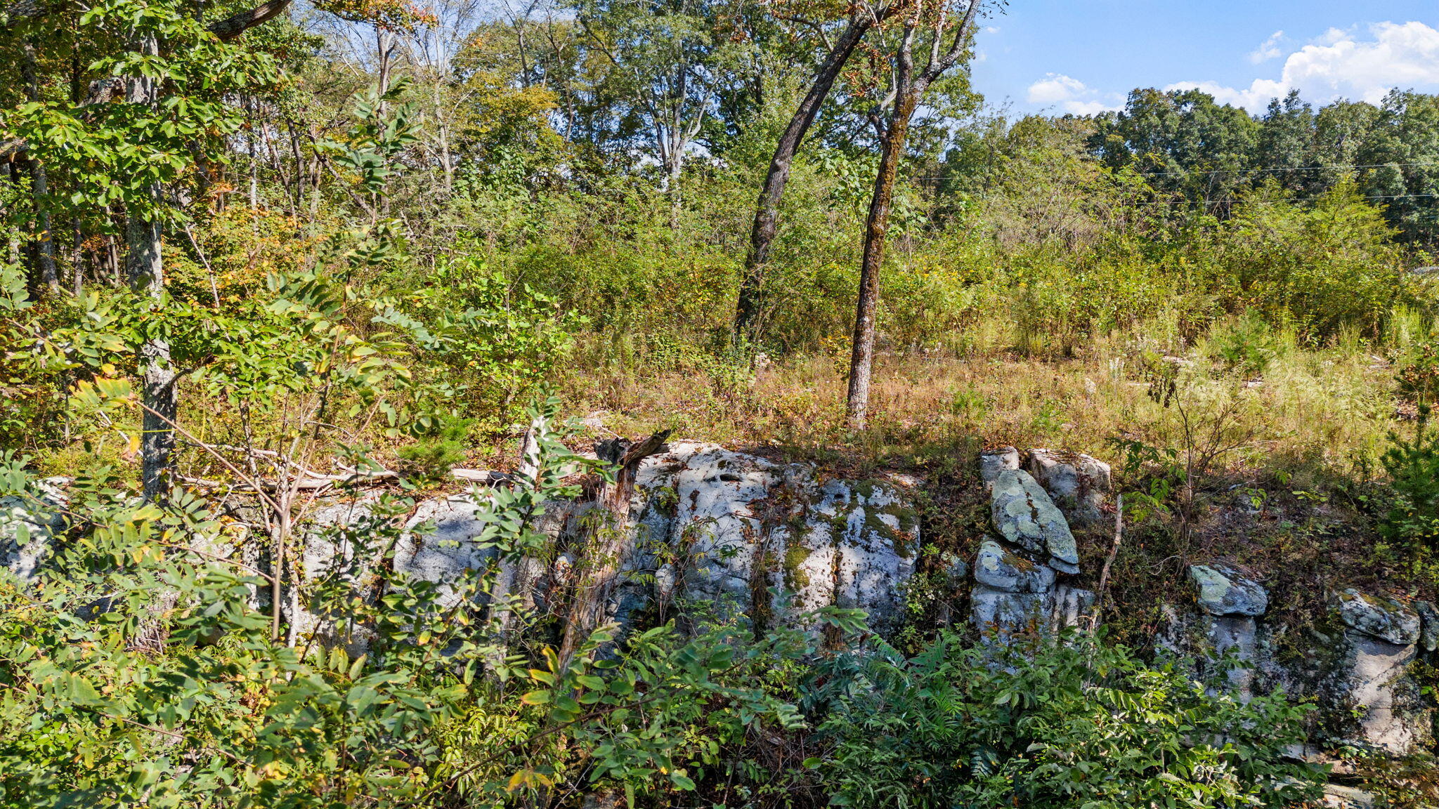Old State Road, Menlo, Georgia image 11