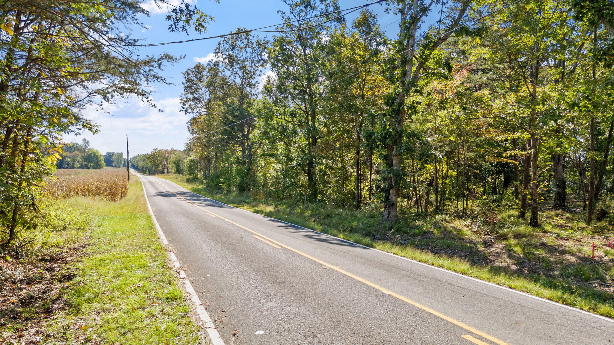 Old State Road, Menlo, Georgia image 15