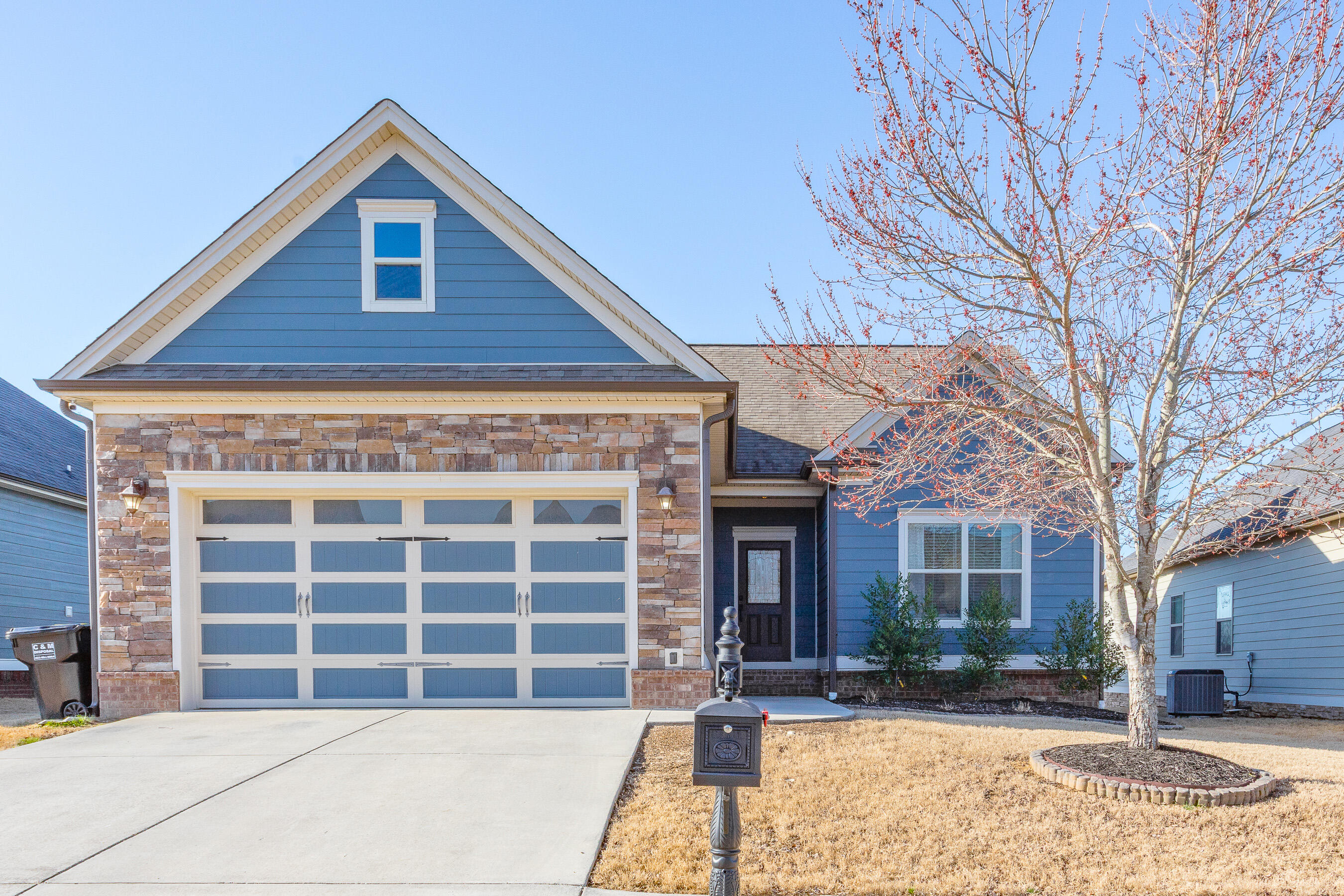 8424 Dakota Sky Way, Ooltewah, Tennessee image 1