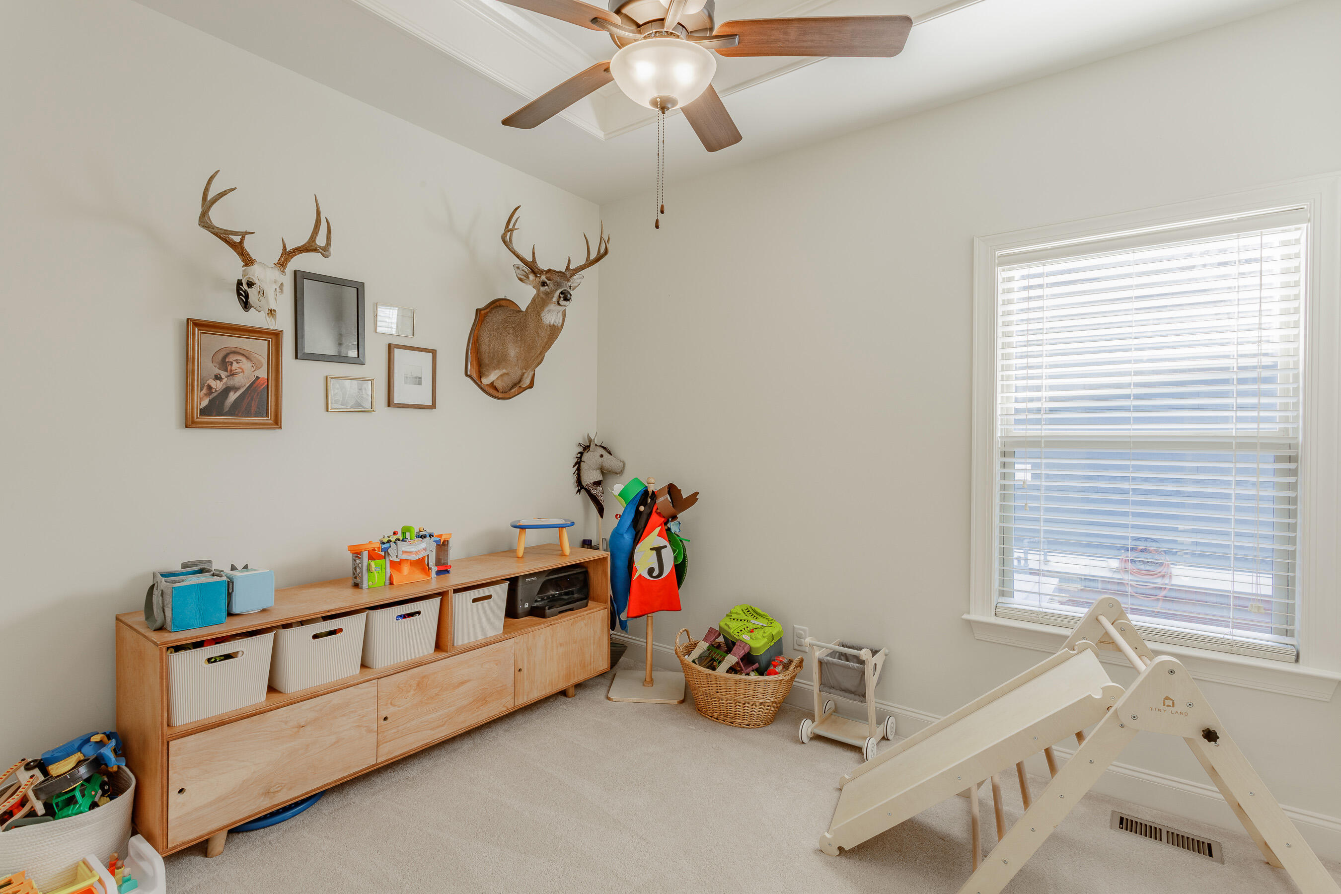 8424 Dakota Sky Way, Ooltewah, Tennessee image 23