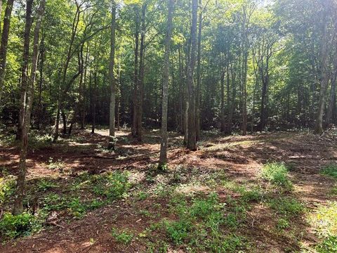 Photo of Tract 8 Pleasant Hill Road, Ten Mile, TN 37880 (MLS # 1531440)