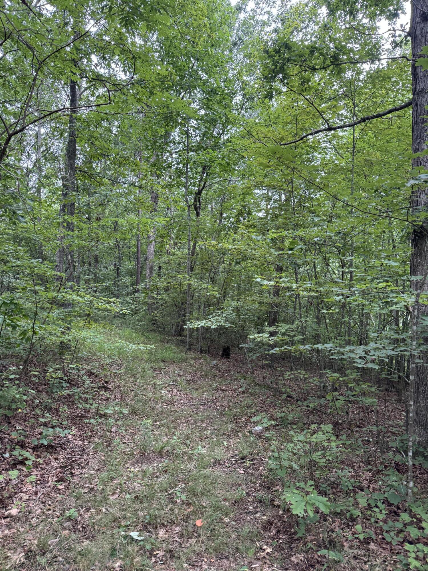 0 Tatum Gulf Road