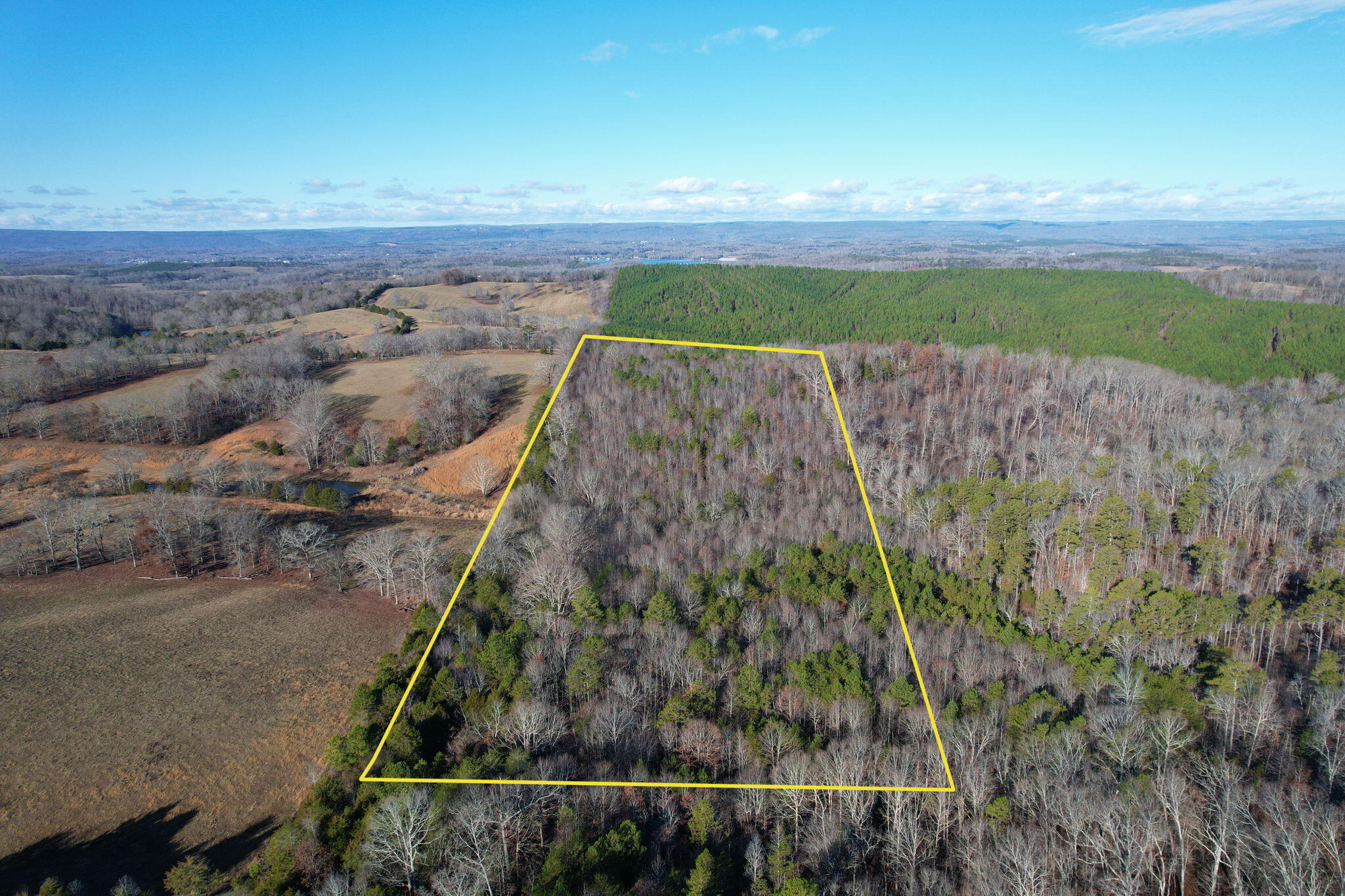 Bearden Lane, Birchwood, Tennessee image 8