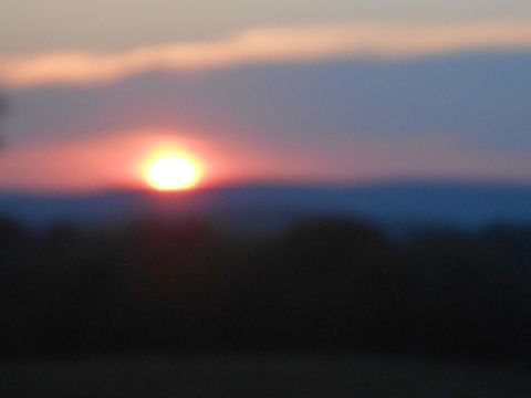 Photo of 8442 East Brainerd Road, Chattanooga, TN 37421 (MLS # 1366704) Photo of 8442 East Brainerd Road, Chattanooga, TN 37421 (MLS # 1366704)