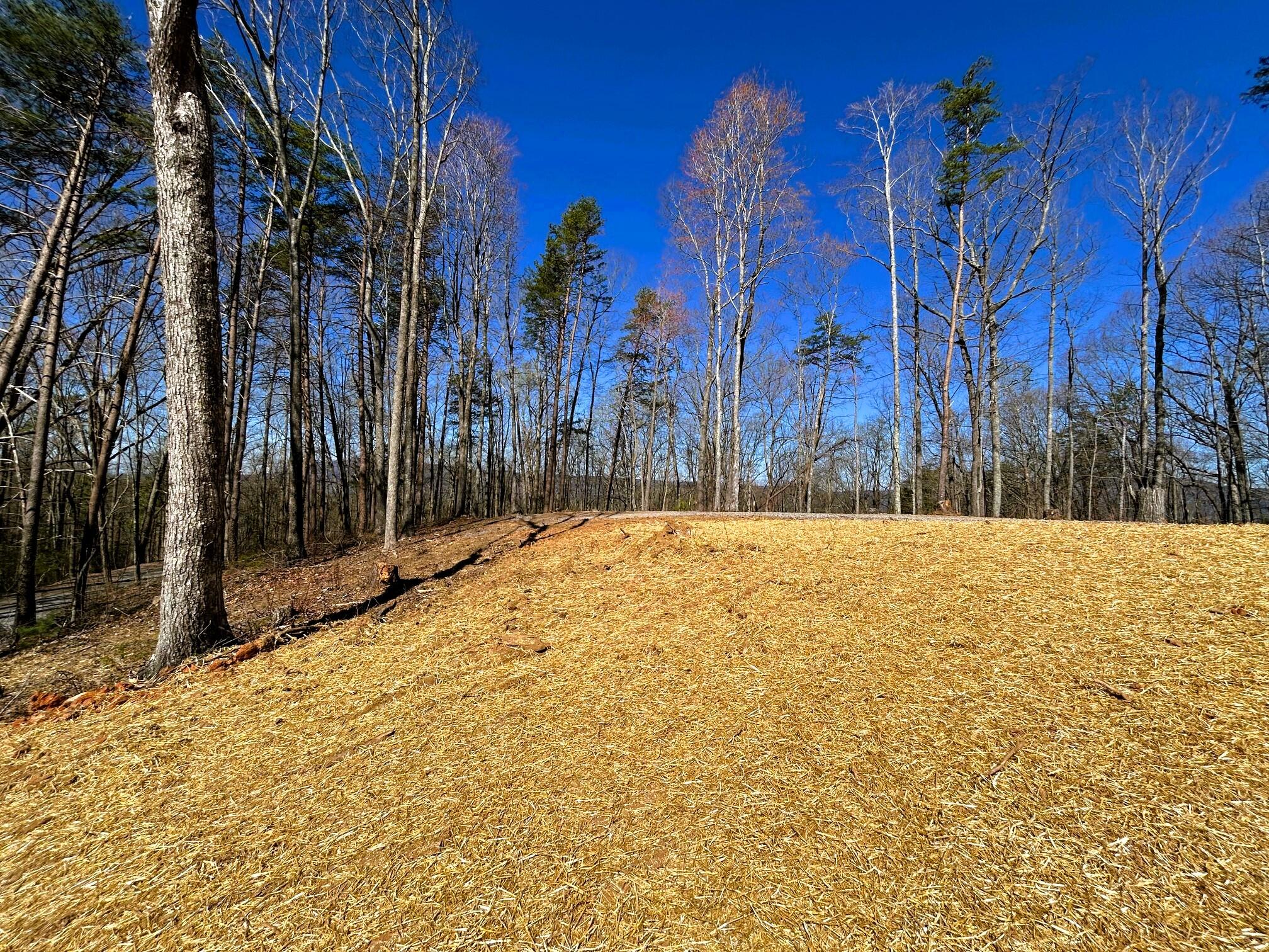 107 Chestnut Road, Reliance, Tennessee image 17