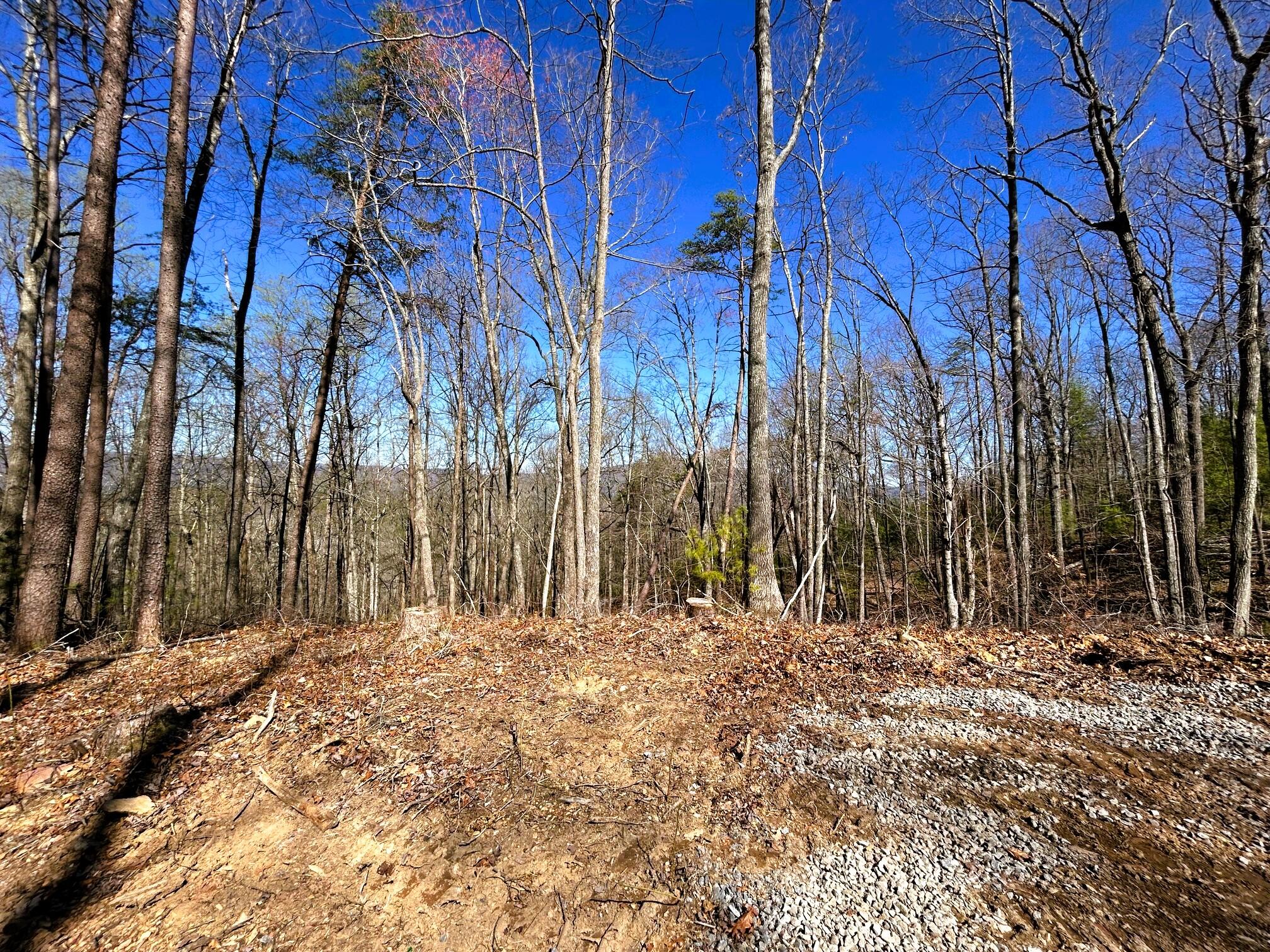 107 Chestnut Road, Reliance, Tennessee image 13