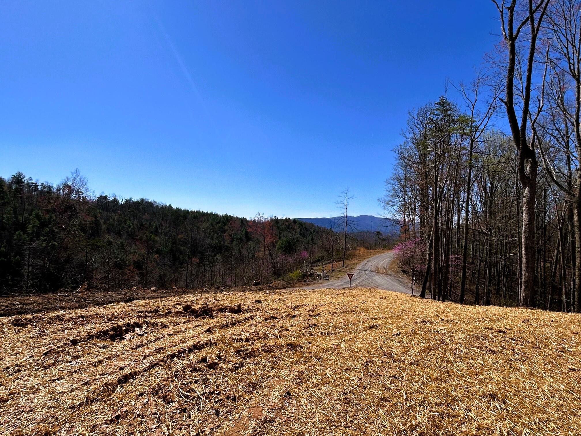 107 Chestnut Road, Reliance, Tennessee image 6