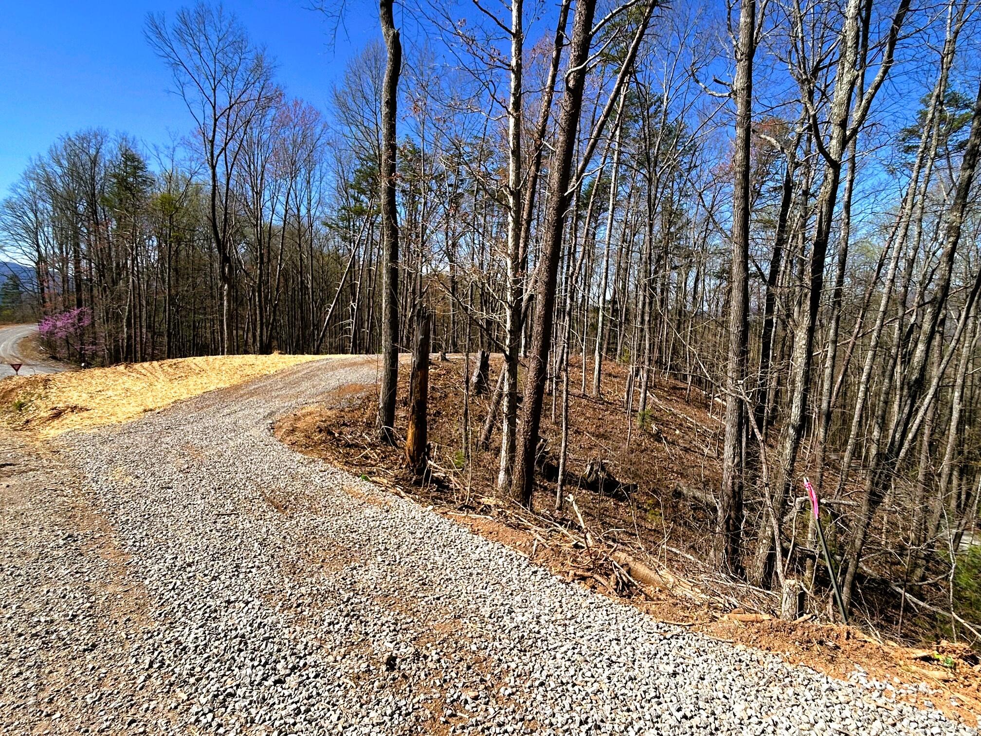 107 Chestnut Road, Reliance, Tennessee image 8