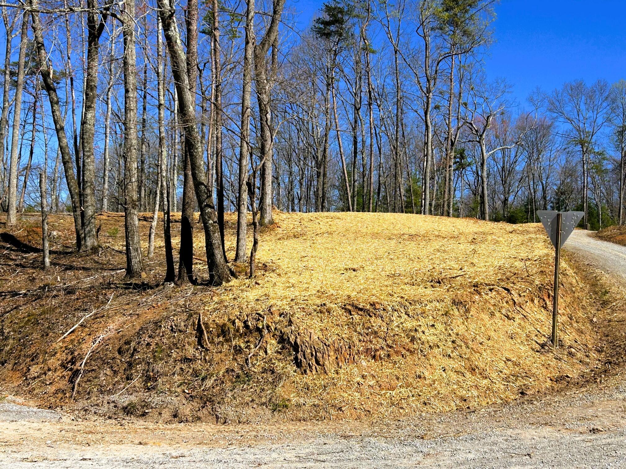 107 Chestnut Road, Reliance, Tennessee image 10