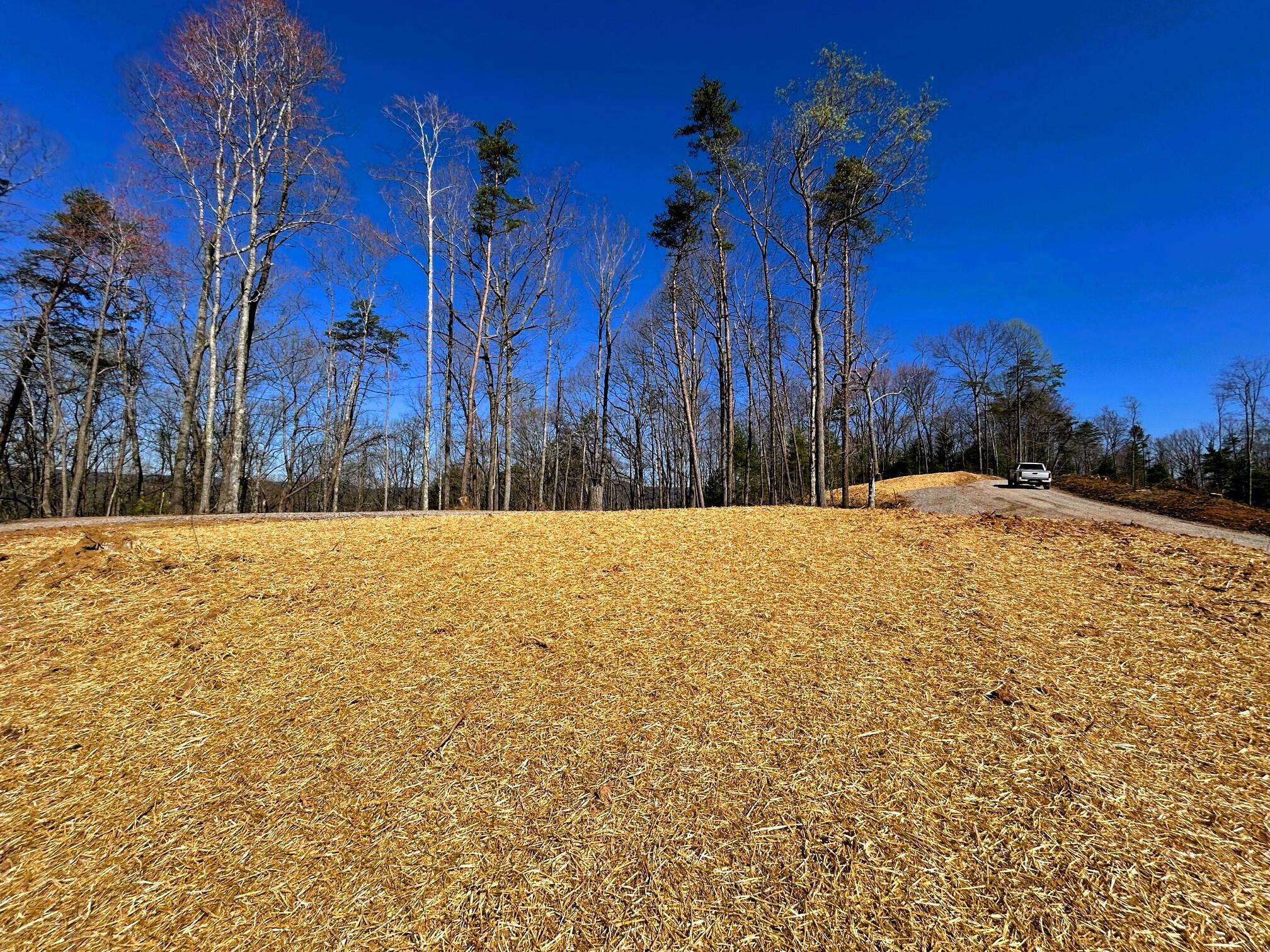 107 Chestnut Road, Reliance, Tennessee image 16