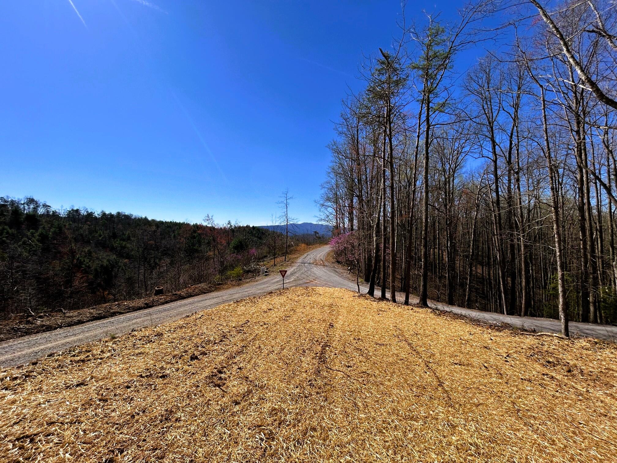 107 Chestnut Road, Reliance, Tennessee image 1