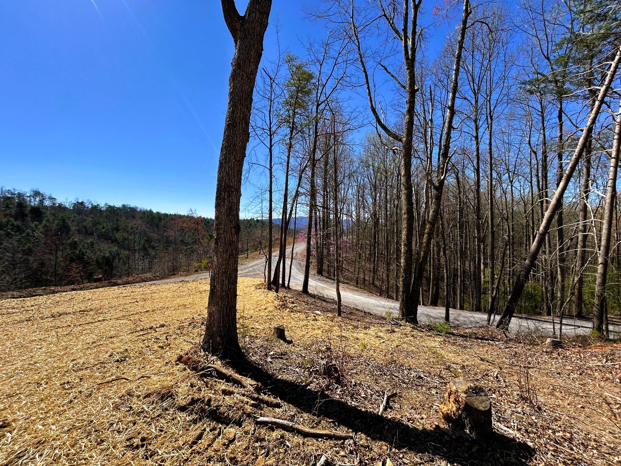 107 Chestnut Road, Reliance, Tennessee image 18