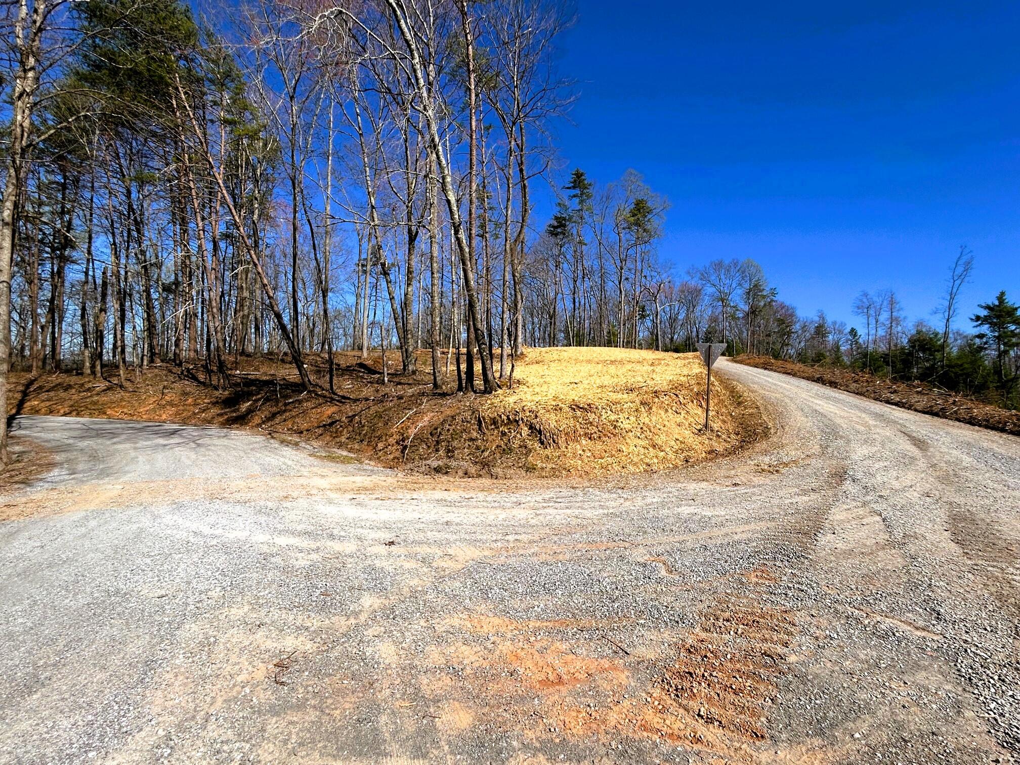 107 Chestnut Road, Reliance, Tennessee image 2