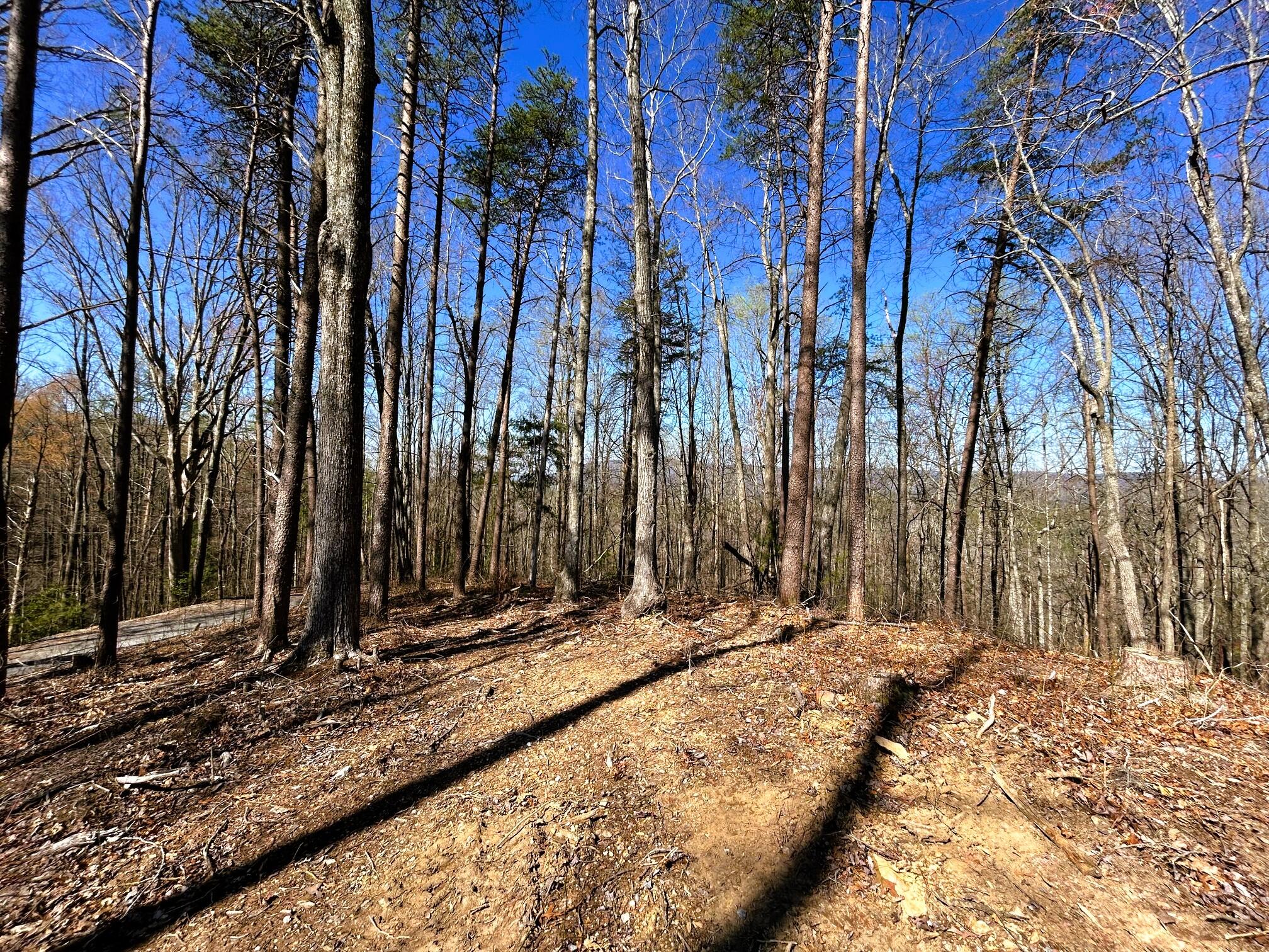 107 Chestnut Road, Reliance, Tennessee image 14