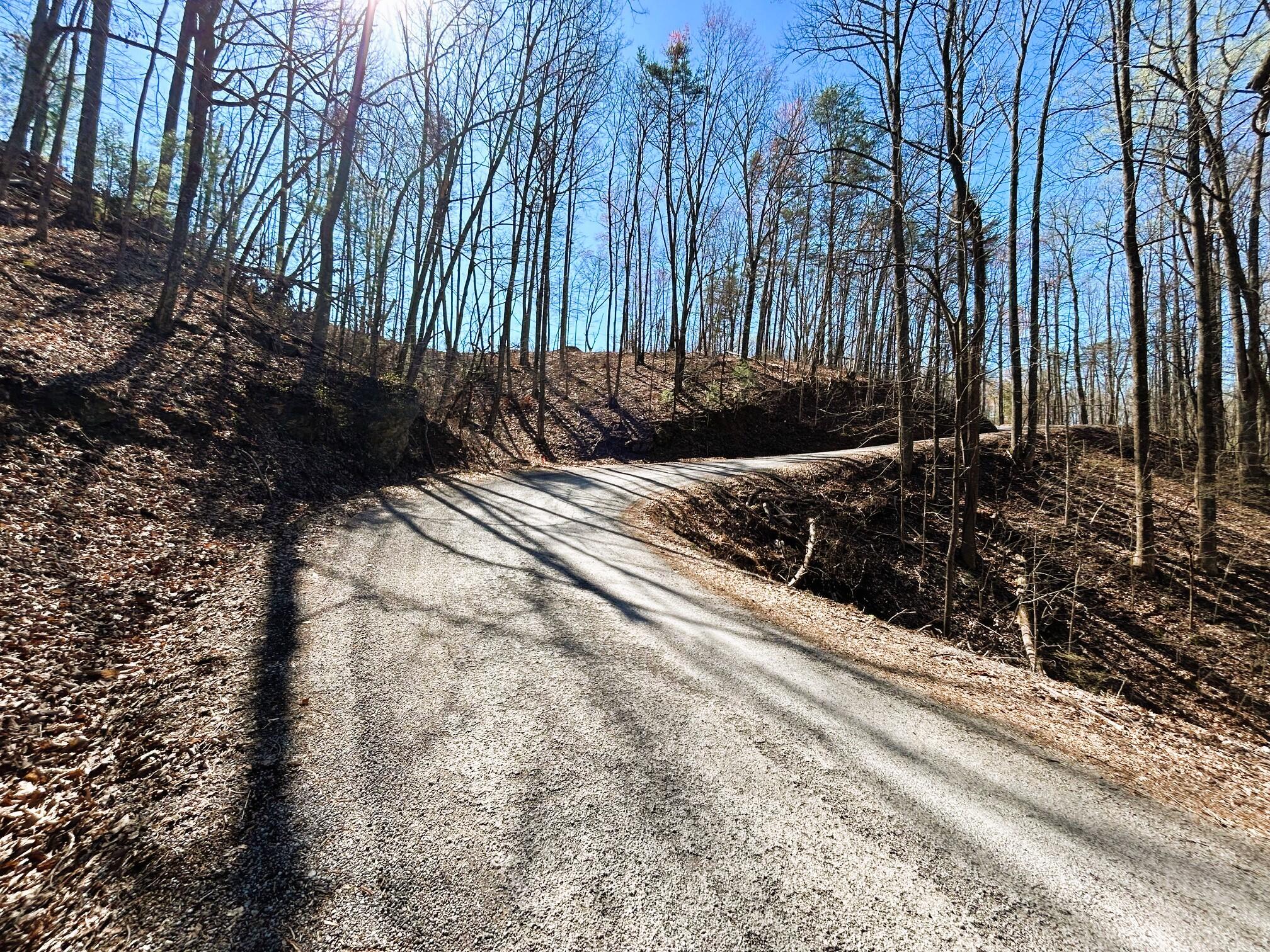 107 Chestnut Road, Reliance, Tennessee image 3