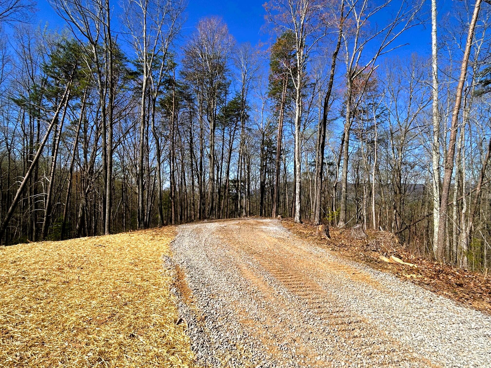 107 Chestnut Road, Reliance, Tennessee image 5