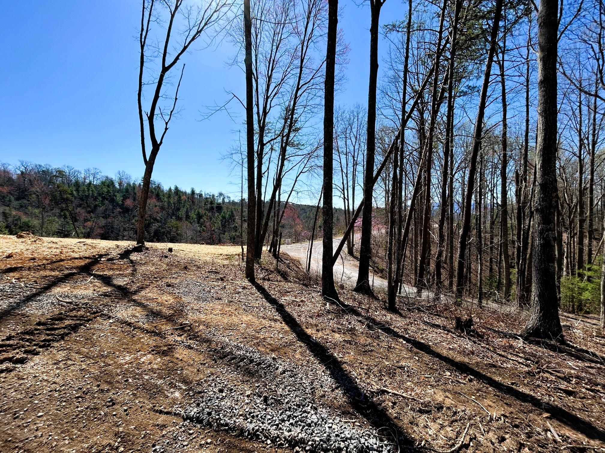 107 Chestnut Road, Reliance, Tennessee image 20