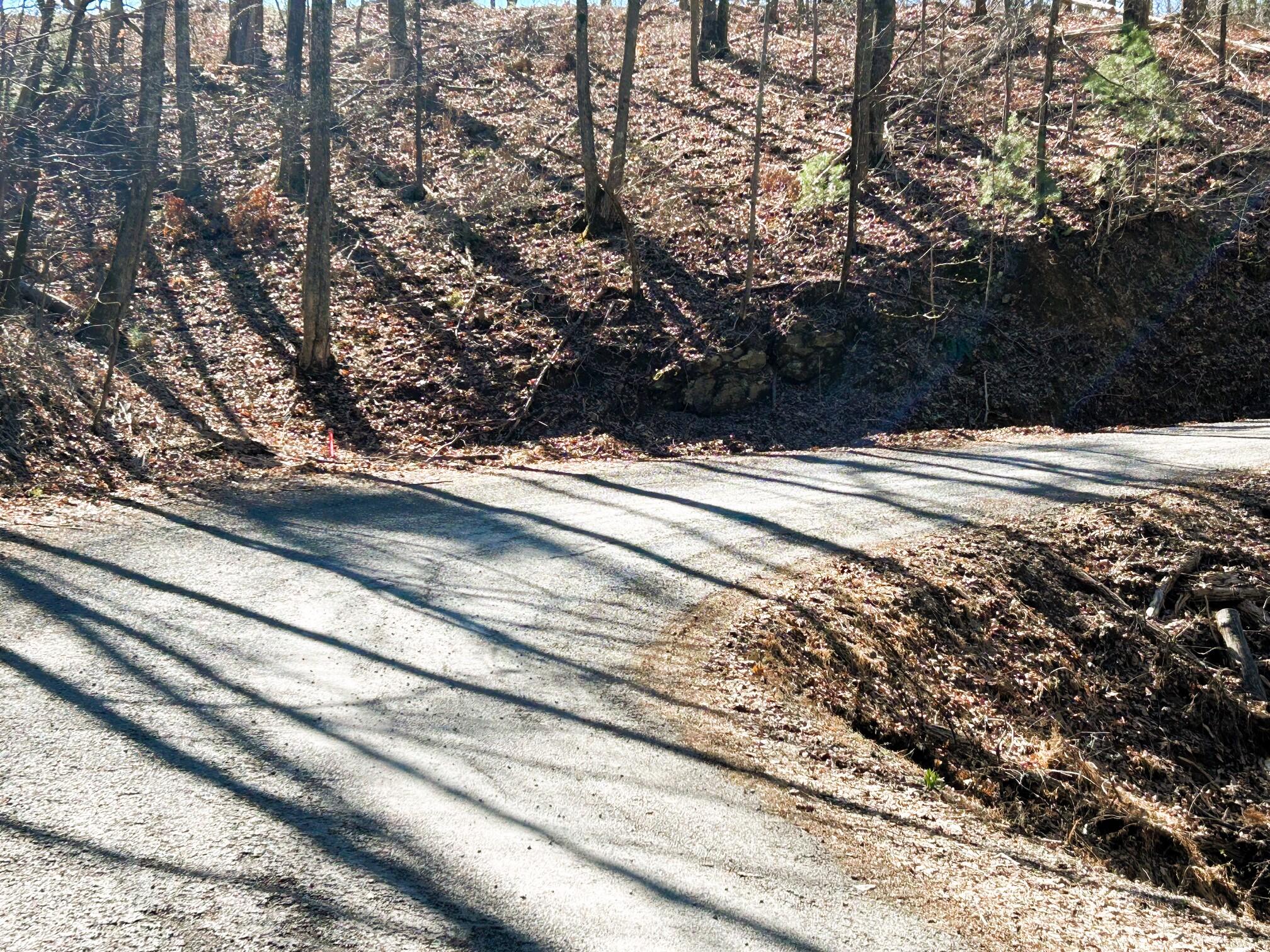 107 Chestnut Road, Reliance, Tennessee image 4