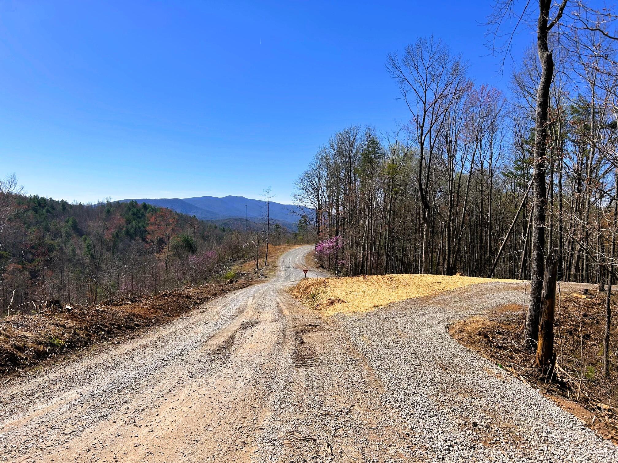 107 Chestnut Road, Reliance, Tennessee image 9