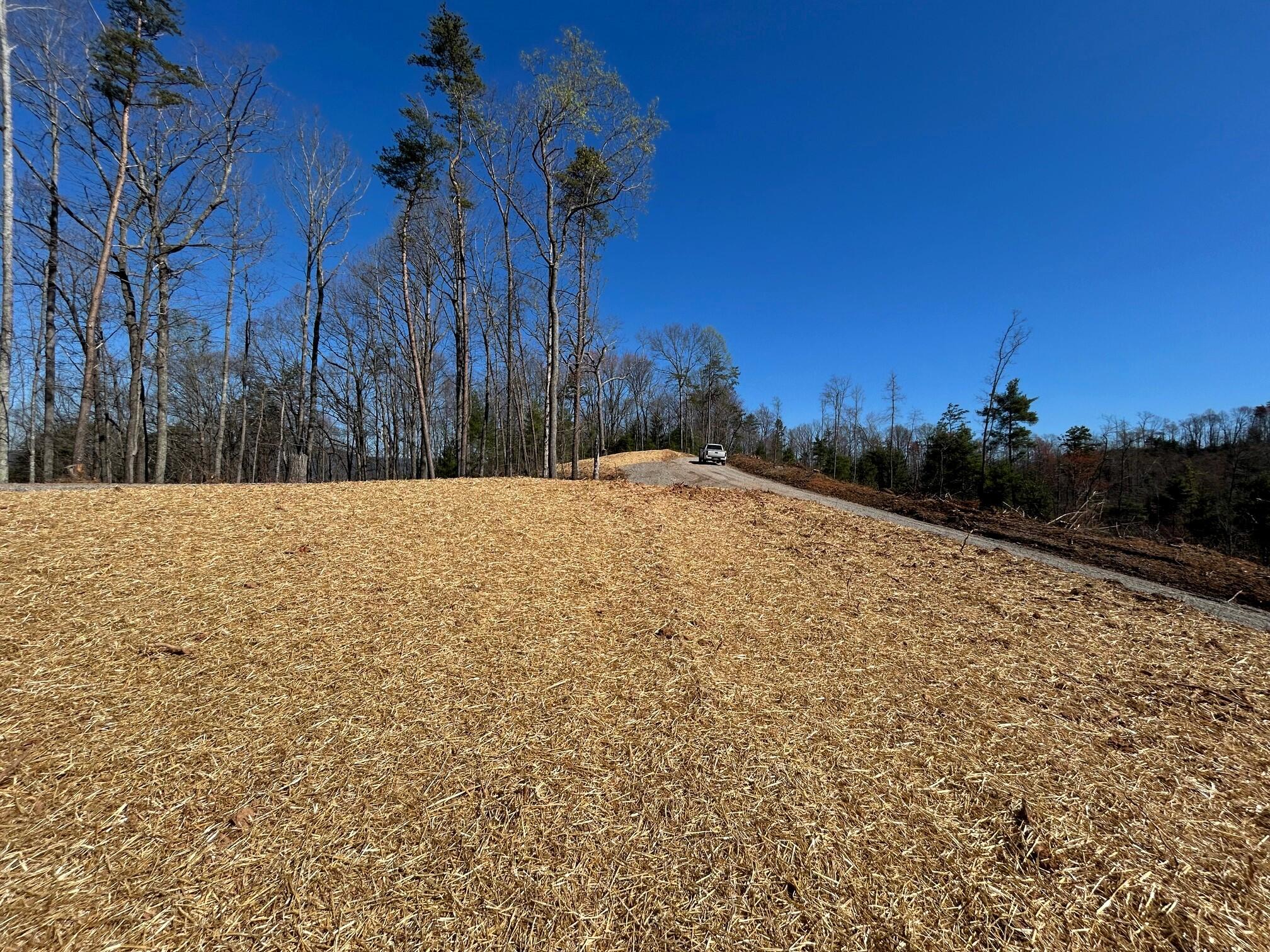 107 Chestnut Road, Reliance, Tennessee image 21