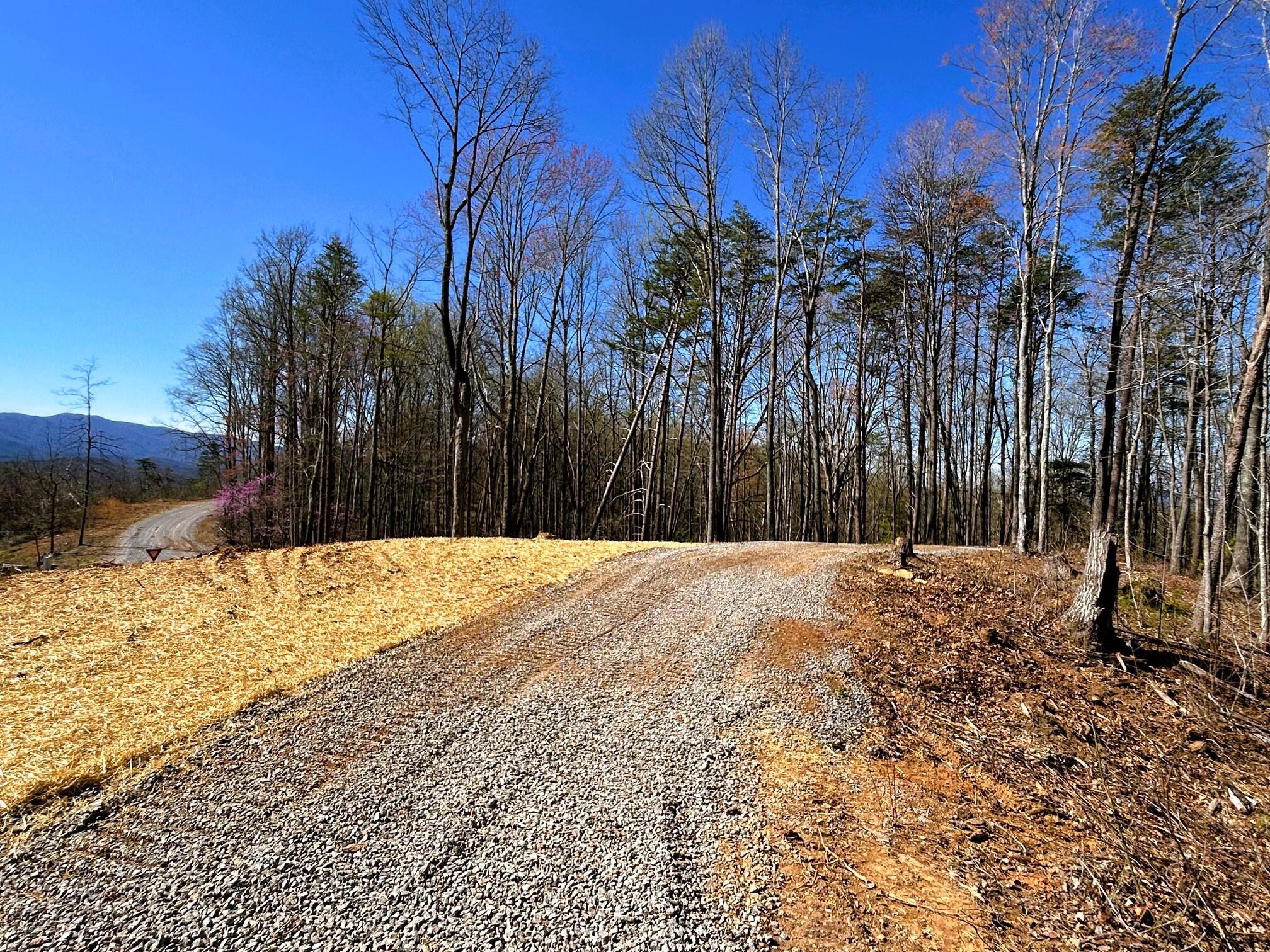 107 Chestnut Road, Reliance, Tennessee image 7