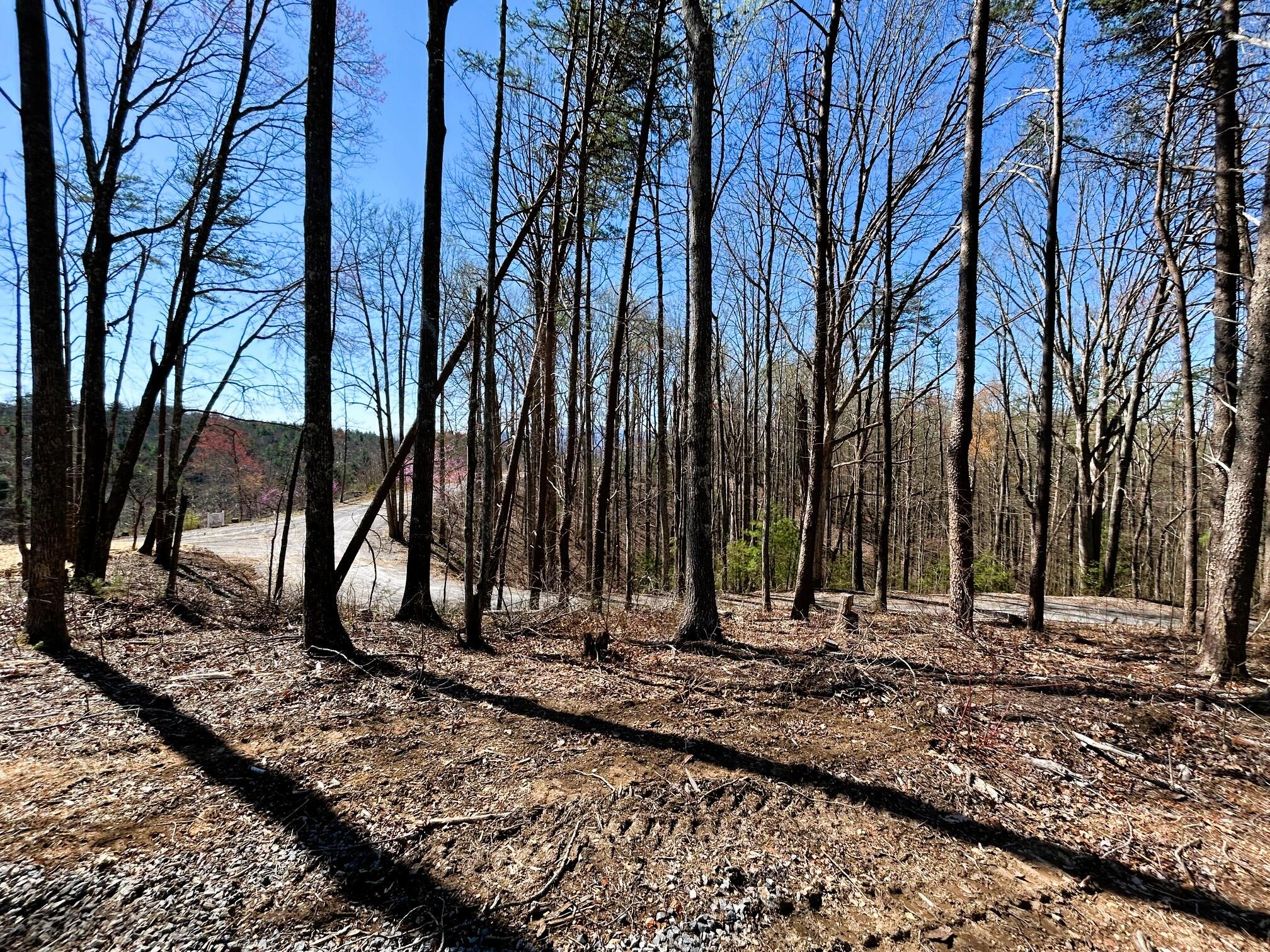 107 Chestnut Road, Reliance, Tennessee image 19