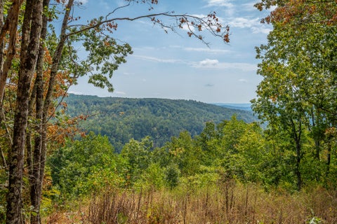 Vacant Land For Sale - Split Rail Way<br/> Guild, TN 37340