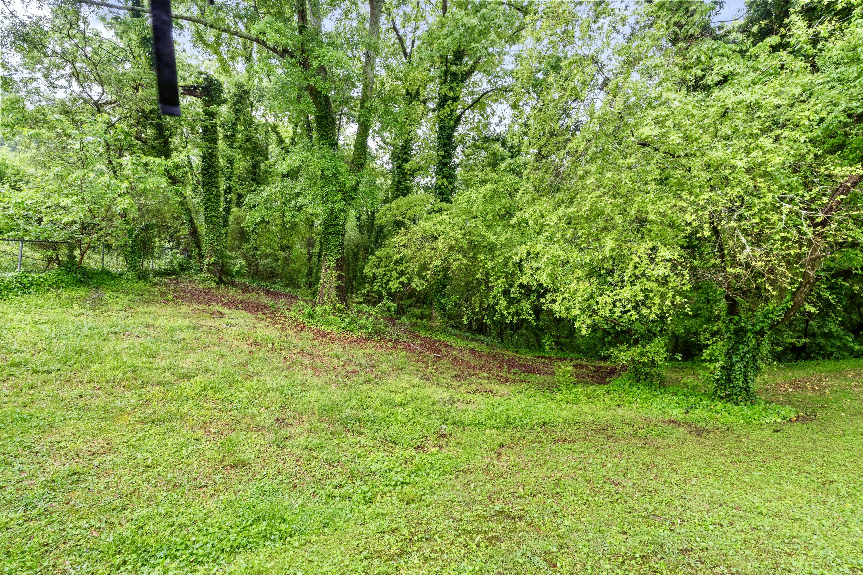 3801 Youngstown Road, Chattanooga, Tennessee image 7
