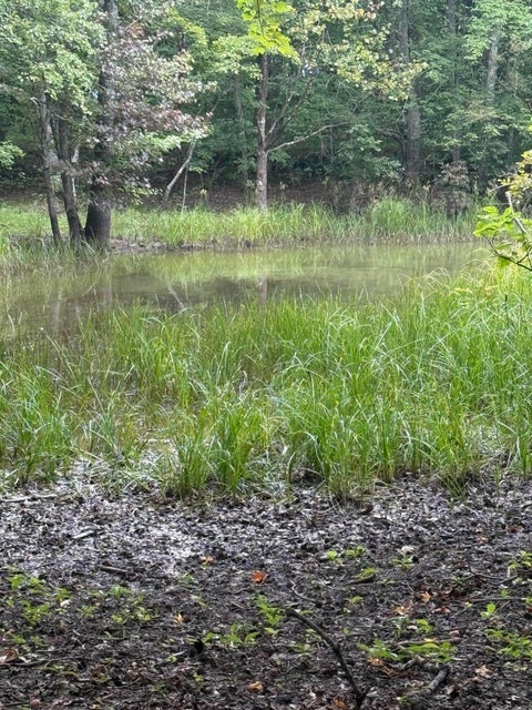 Vacant Land For Sale - 14.52 Porch Rock Road<br/> Pikeville, TN 37367