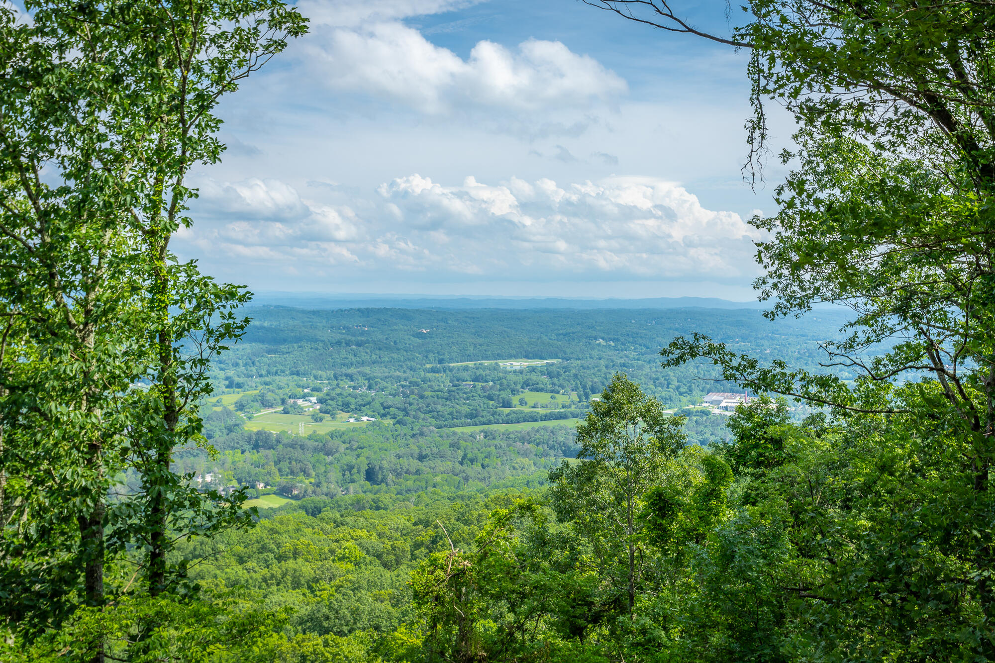 1613 Fairy Dell Trail, Lookout Mountain, Georgia image 12