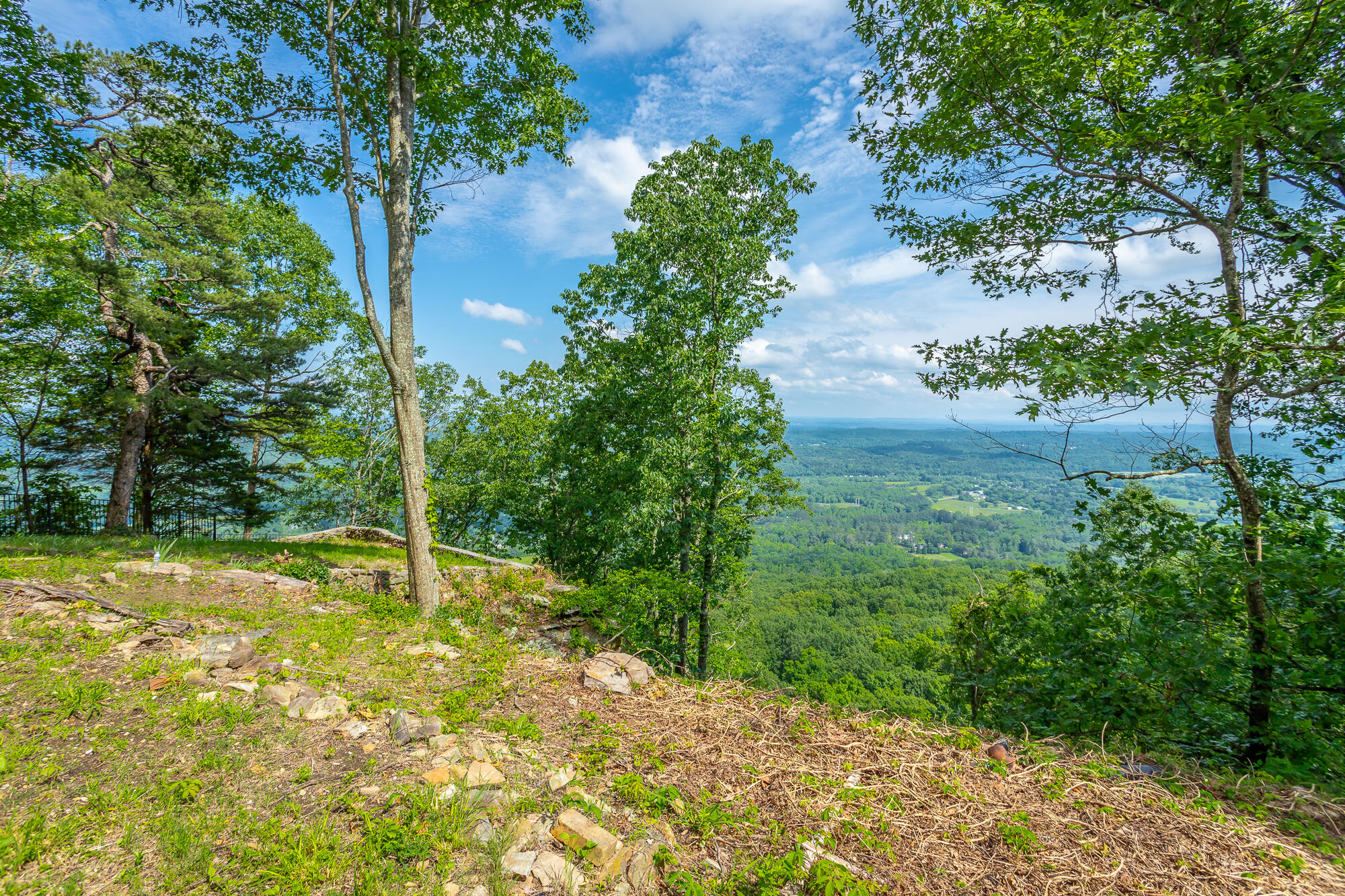 1613 Fairy Dell Trail, Lookout Mountain, Georgia image 9