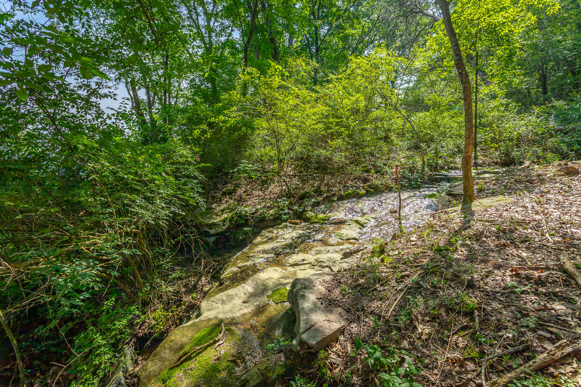 1613 Fairy Dell Trail, Lookout Mountain, Georgia image 48
