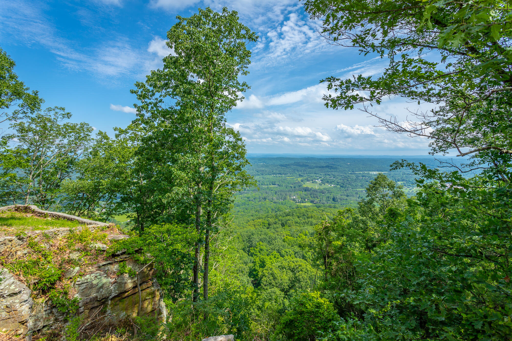 1613 Fairy Dell Trail, Lookout Mountain, Georgia image 8