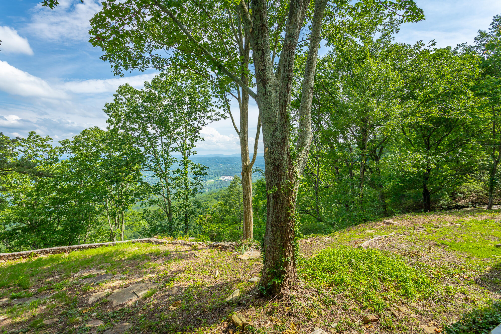 1613 Fairy Dell Trail, Lookout Mountain, Georgia image 11