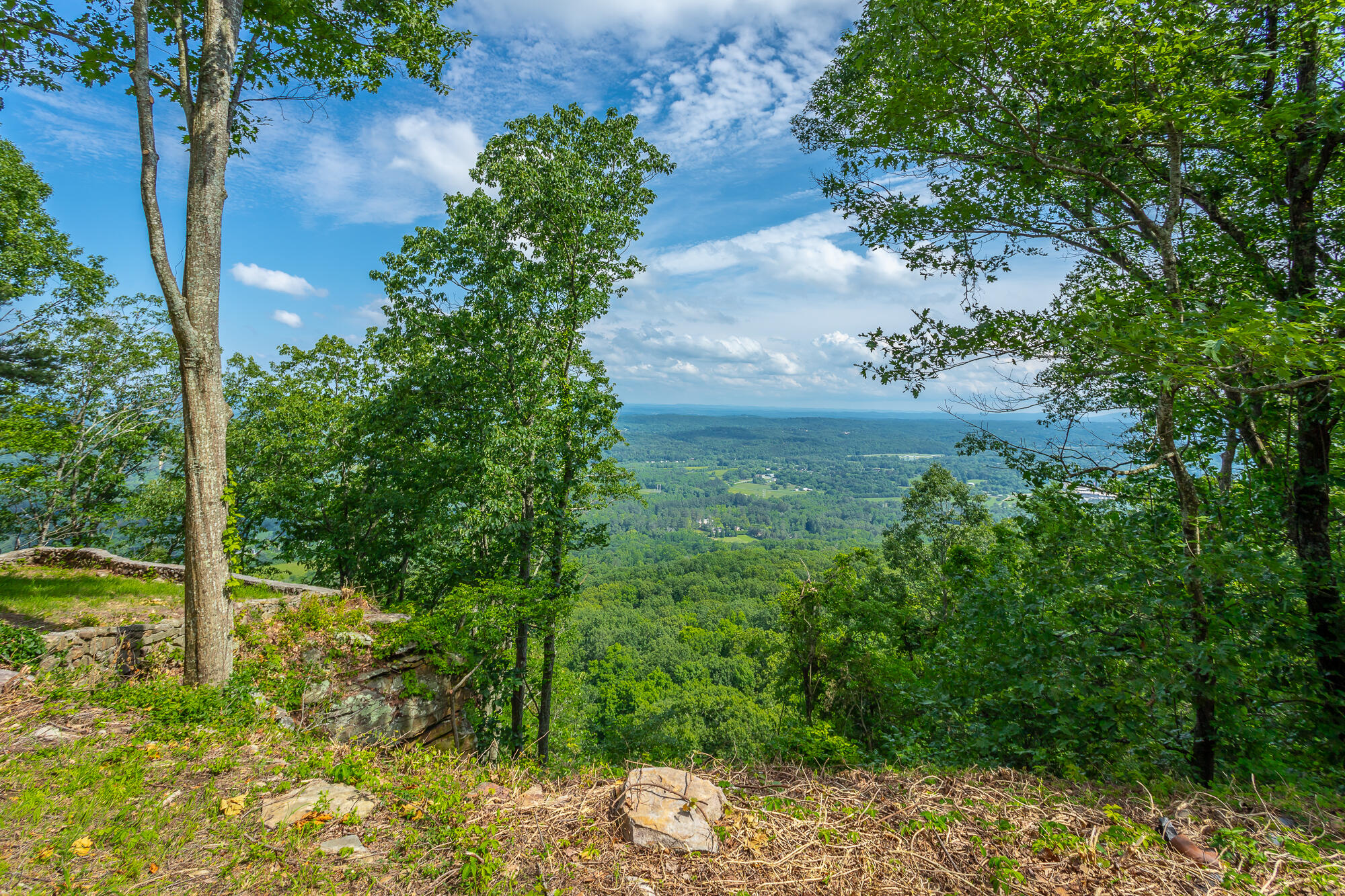 1613 Fairy Dell Trail, Lookout Mountain, Georgia image 10