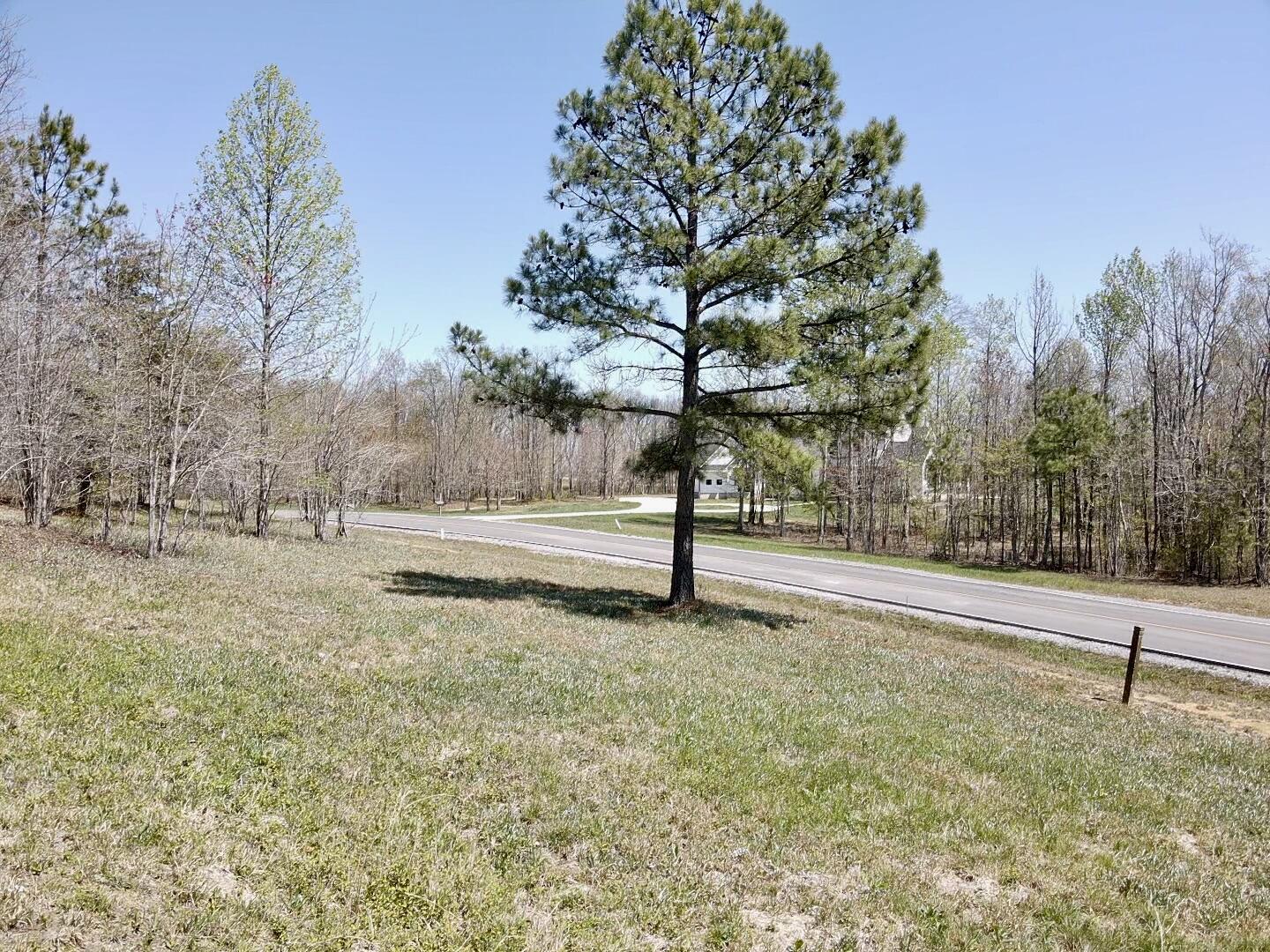 1899 Rivers Bluffs Drive Dr, Jasper, Tennessee image 6