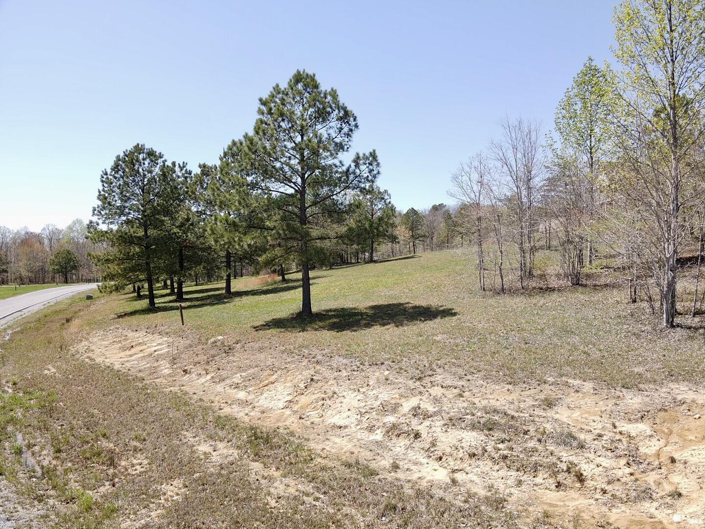 1899 Rivers Bluffs Drive Dr, Jasper, Tennessee image 4