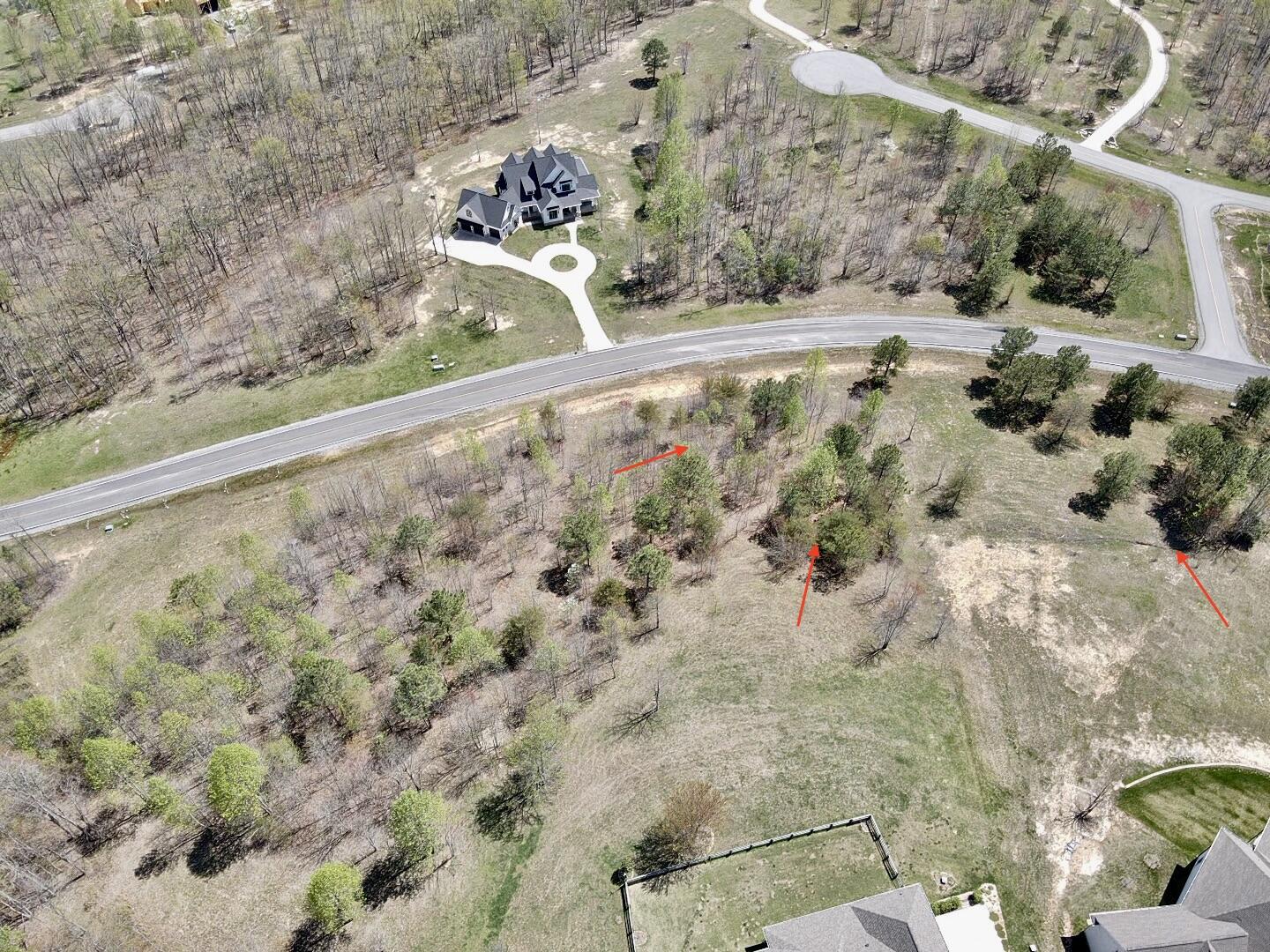 1899 Rivers Bluffs Drive Dr, Jasper, Tennessee image 10