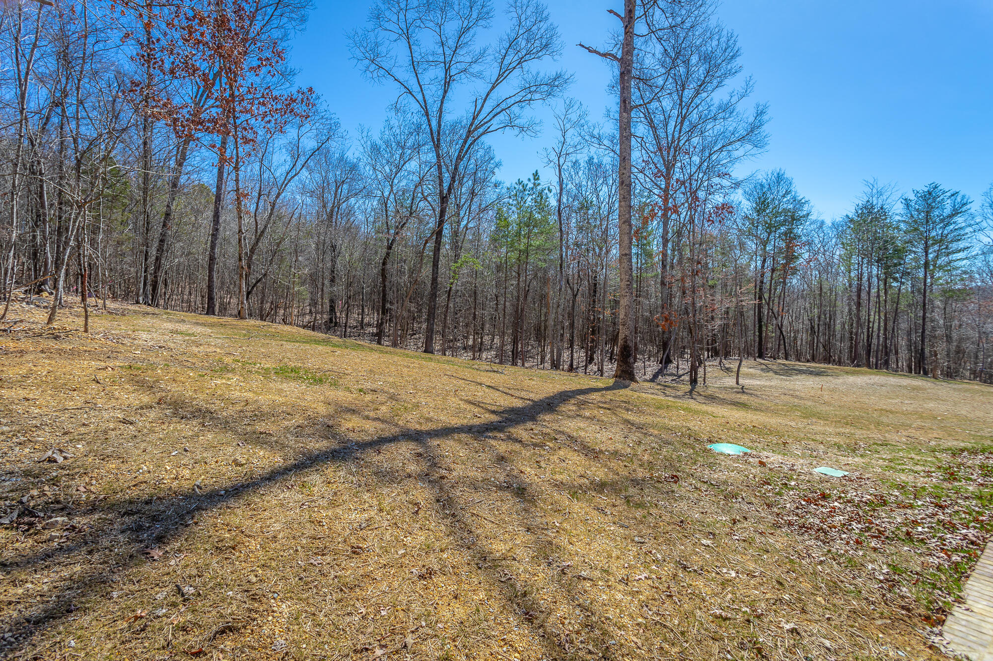 11582 Armstrong Road, Soddy Daisy, Tennessee image 34