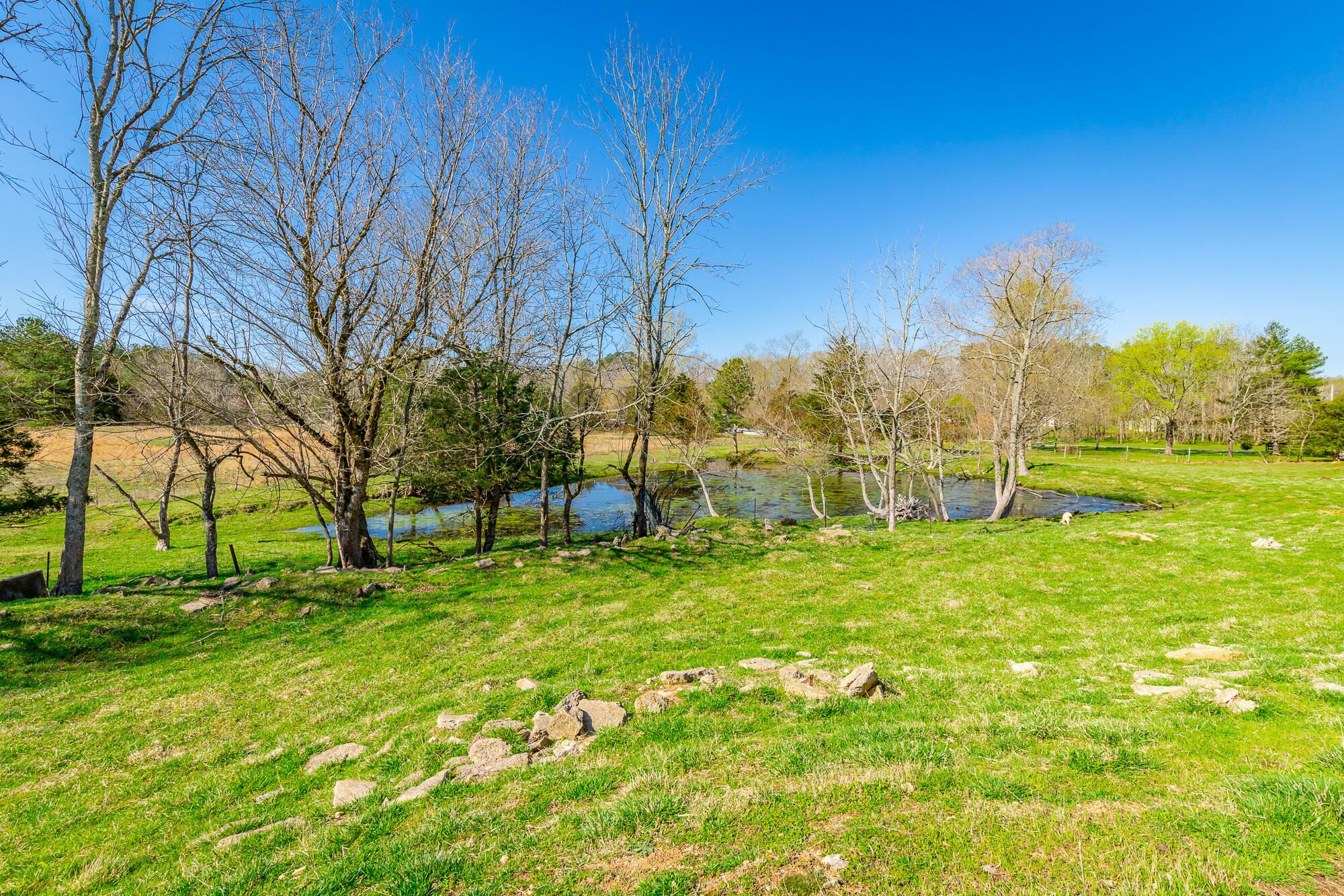 3785 Poplar Springs Road, Ringgold, Georgia image 48