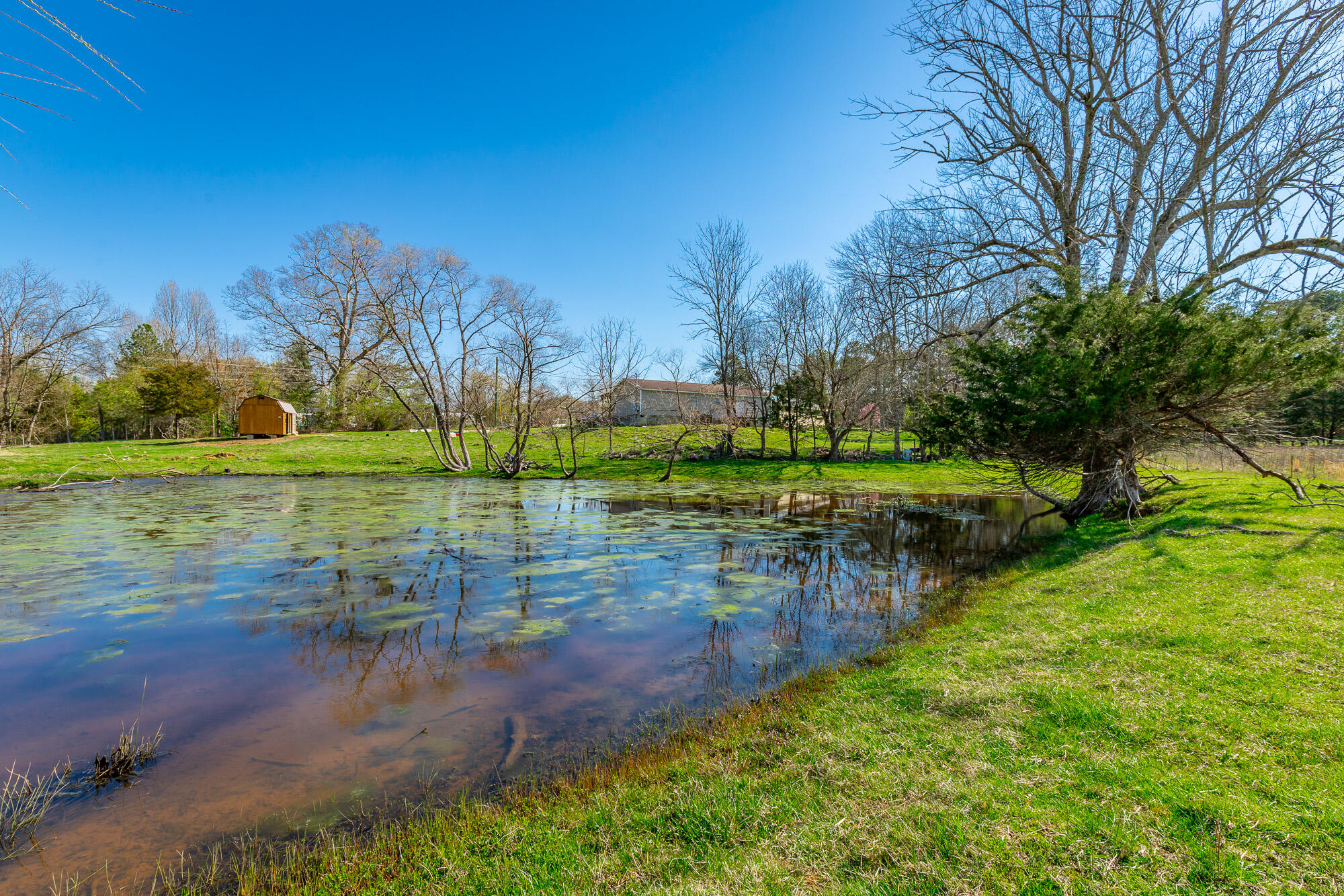 3785 Poplar Springs Road, Ringgold, Georgia image 44